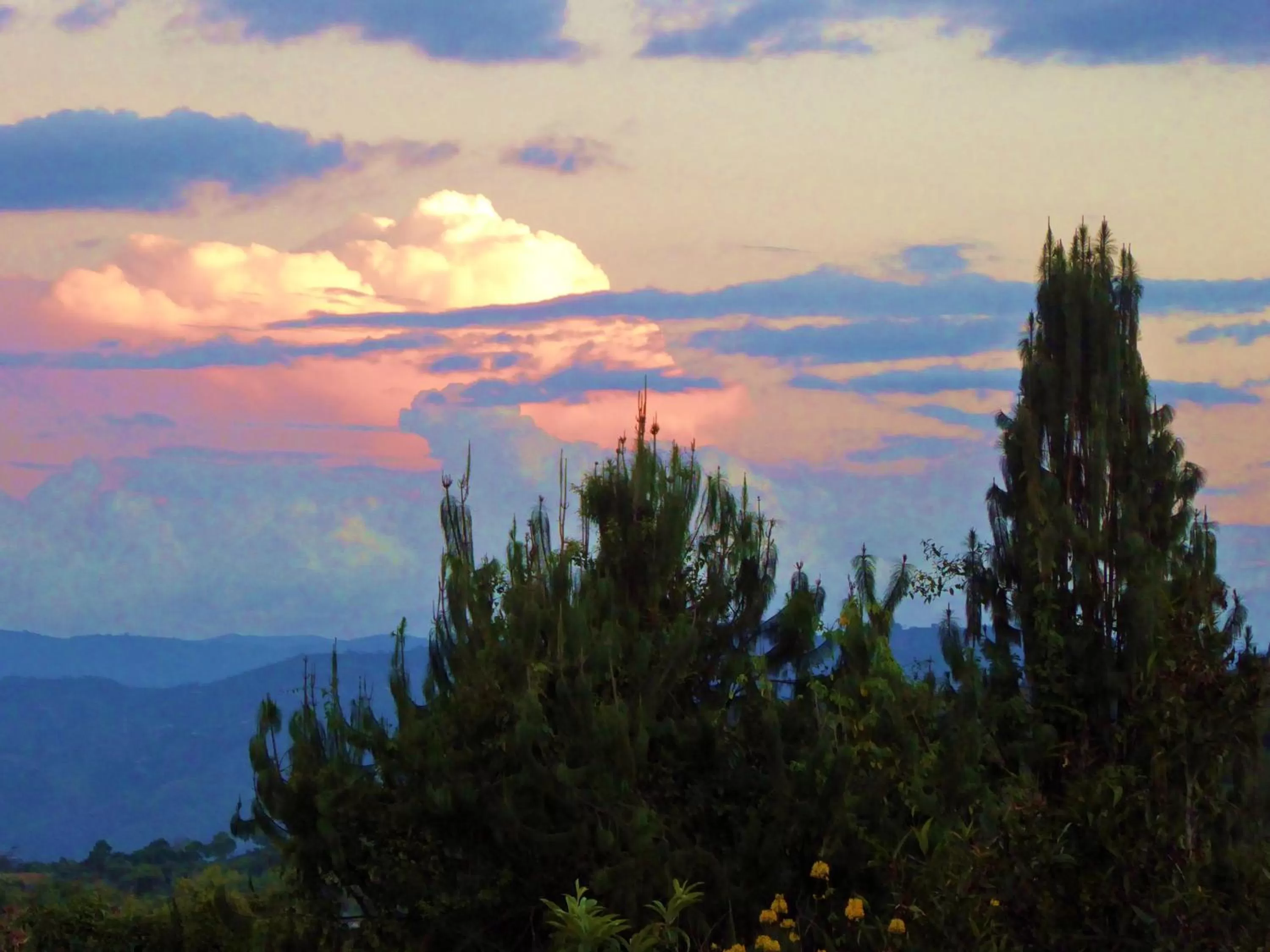 View (from property/room) in Finca El Cielo