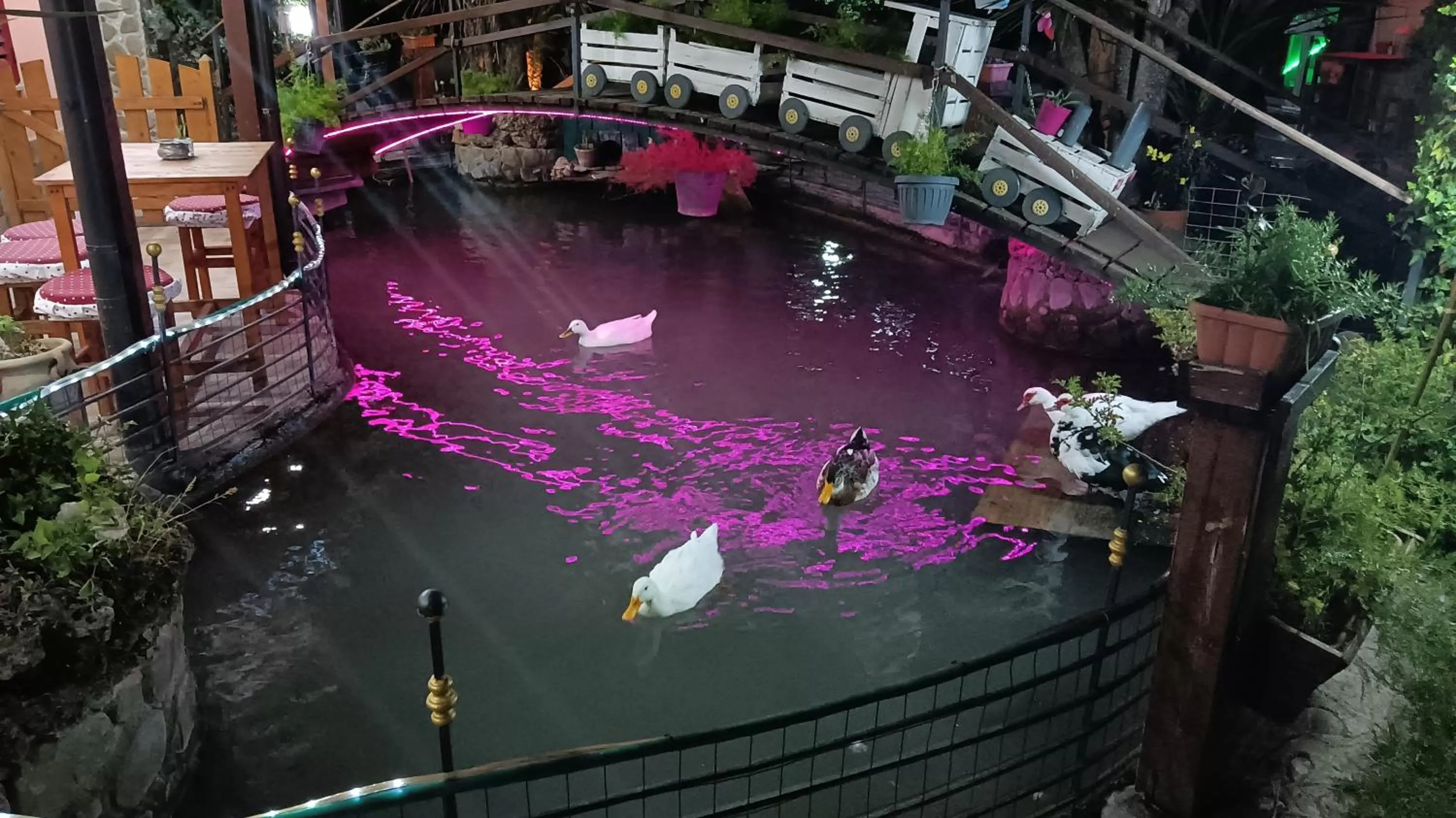 Garden in Il Laghetto