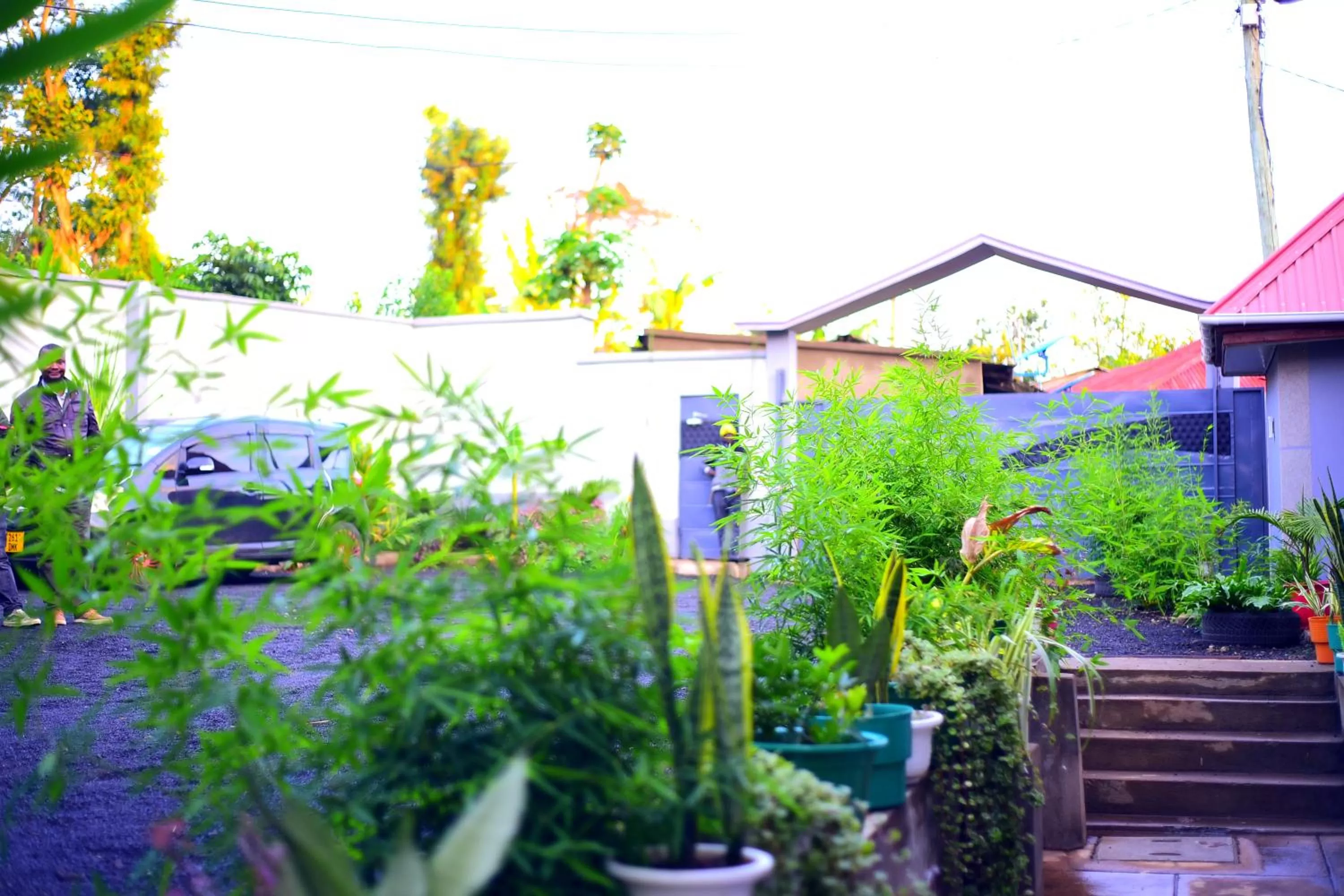 Property building in Safari Park House