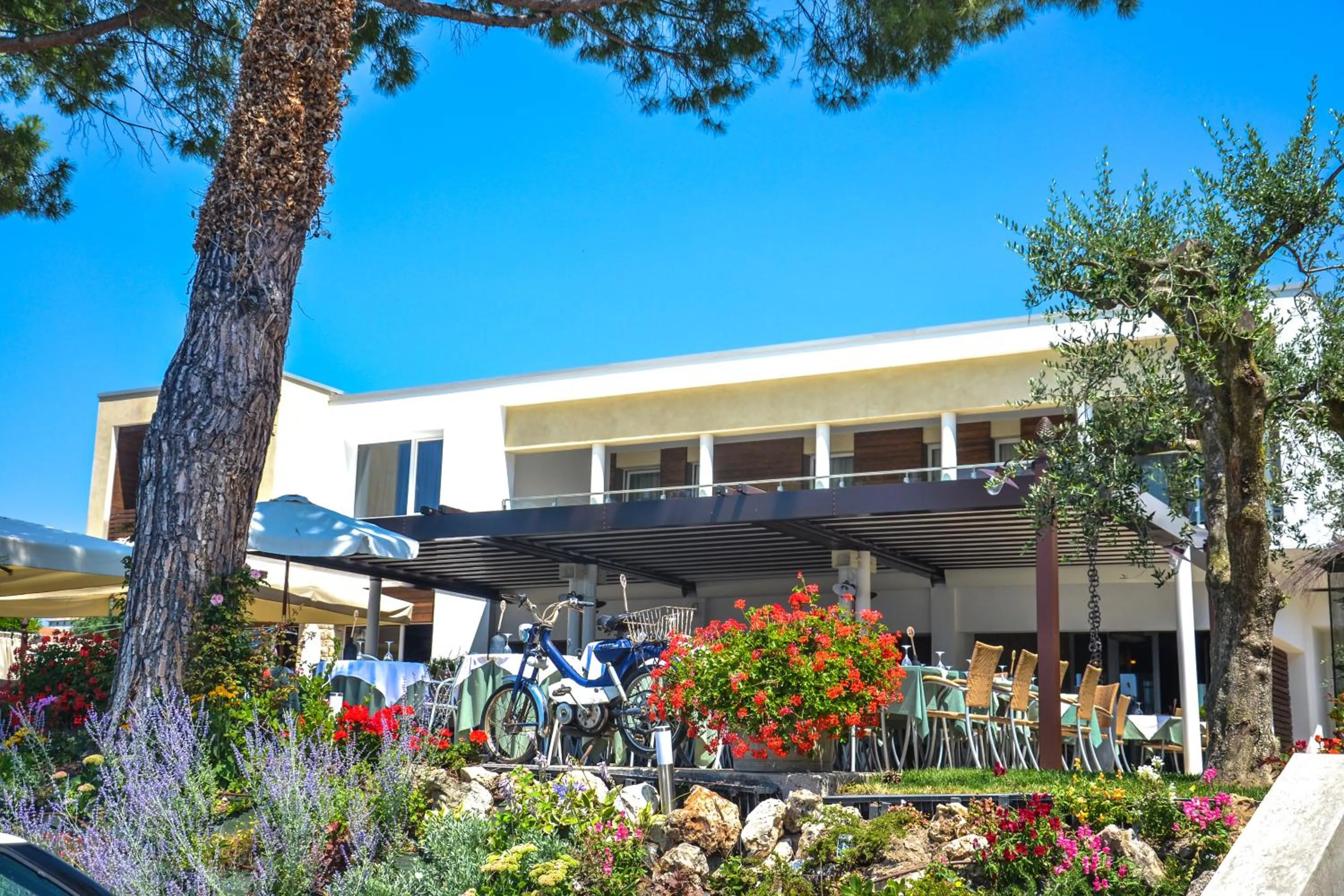 Day in Hotel Maximilian