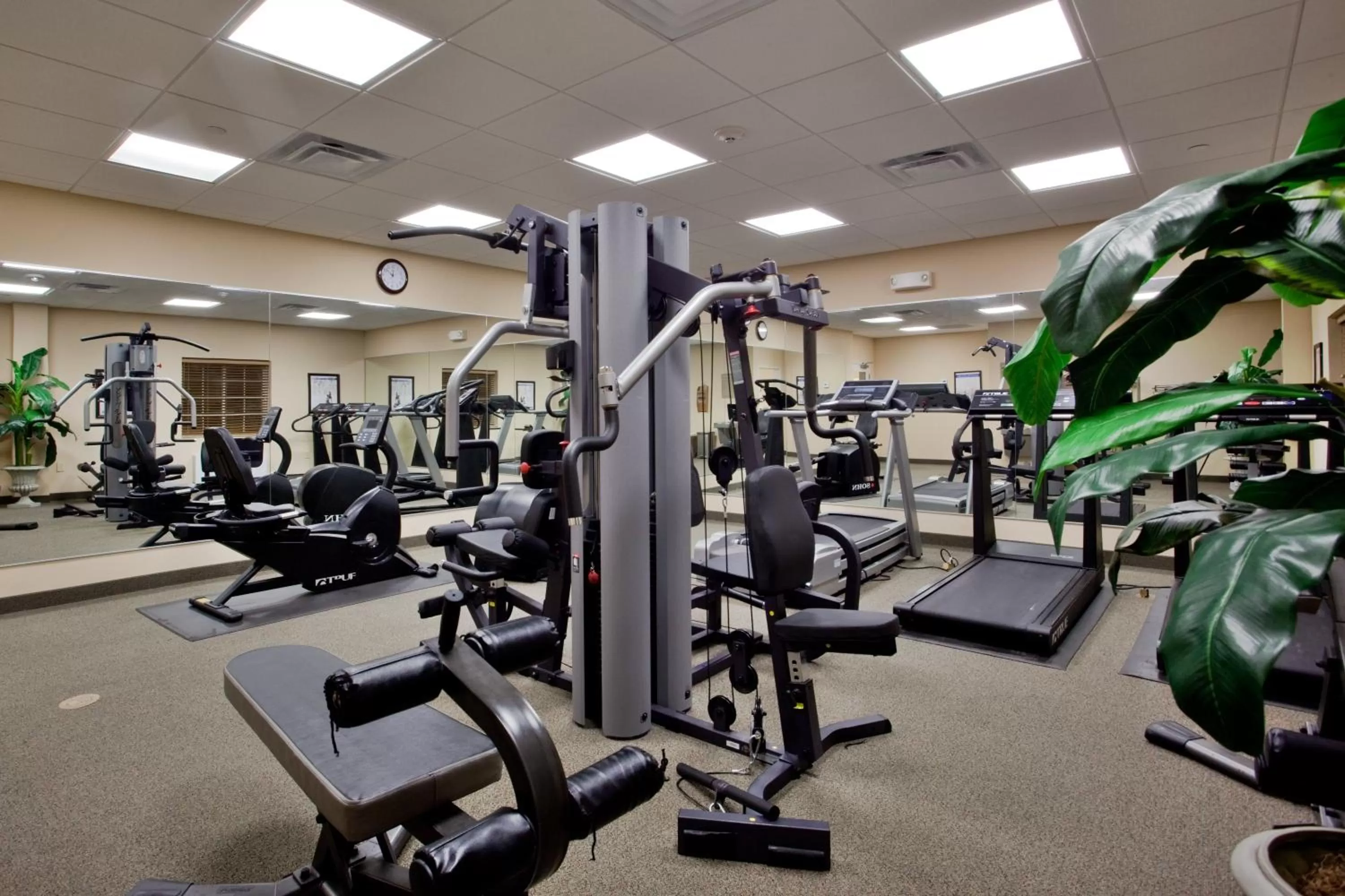 Fitness centre/facilities in Candlewood Suites Norfolk Airport by IHG