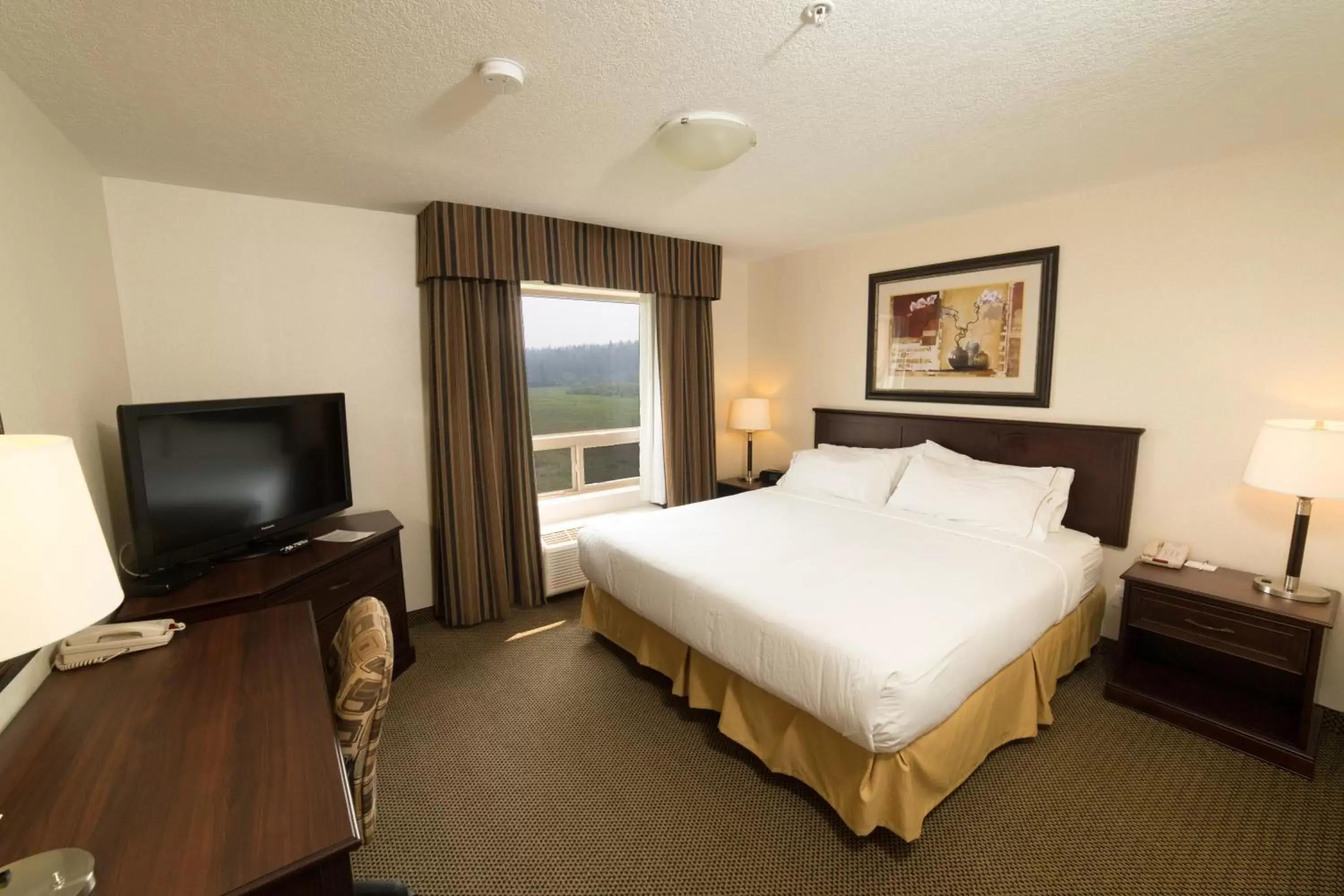 Executive Suite - Non-Smoking in Holiday Inn Express & Suites Whitecourt by IHG Executive Suite - Non-Smoking in Holiday Inn Express & Suites Whitecourt by IHG