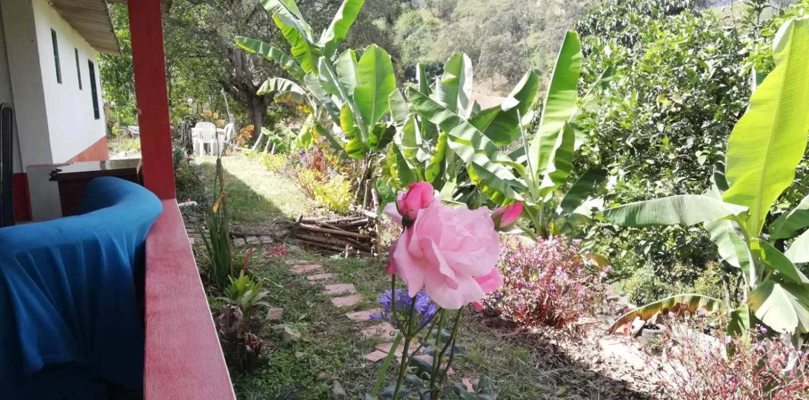 Area and facilities in Finca Umnisa - Choachi