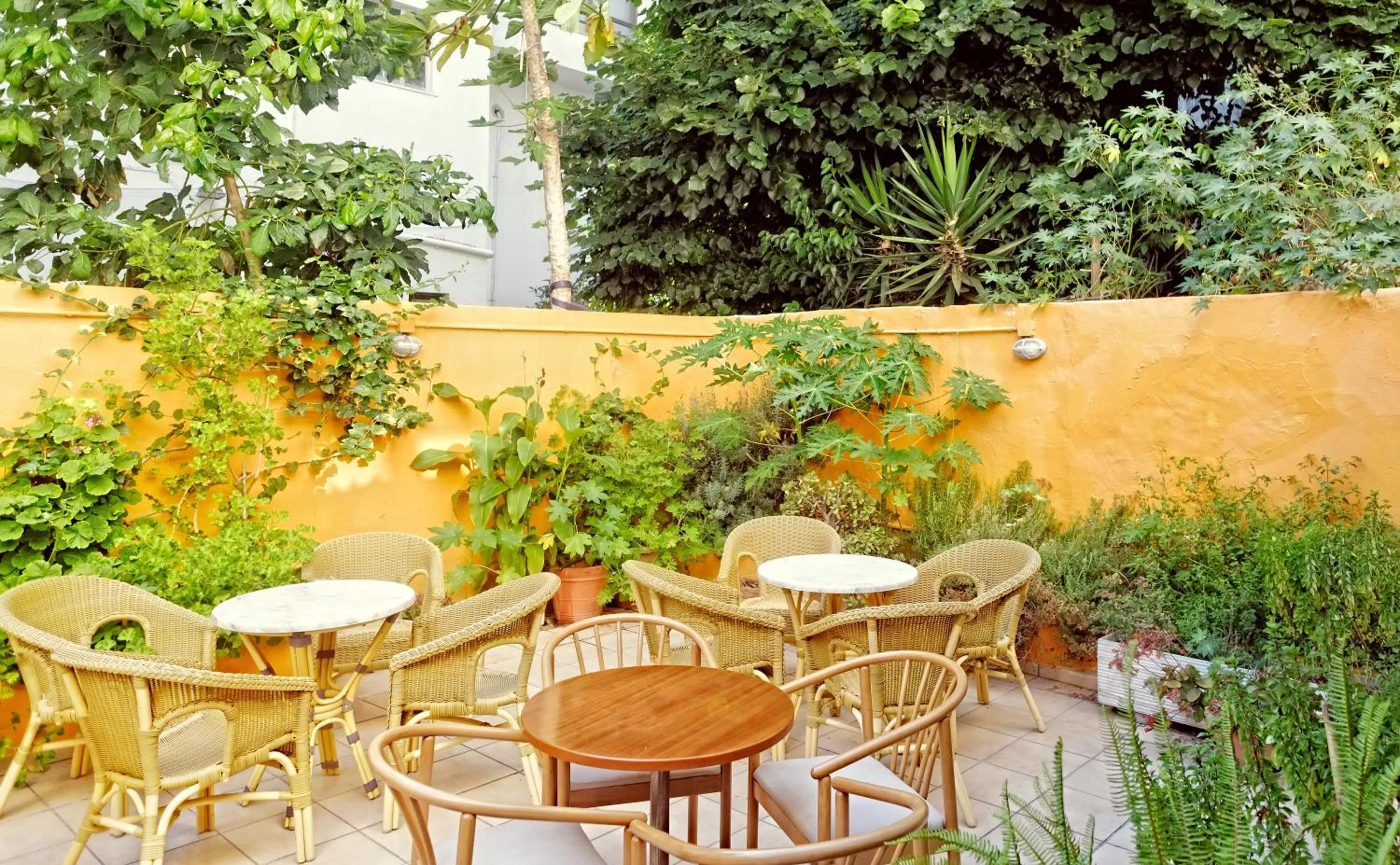 Garden in Savoy City Hotel