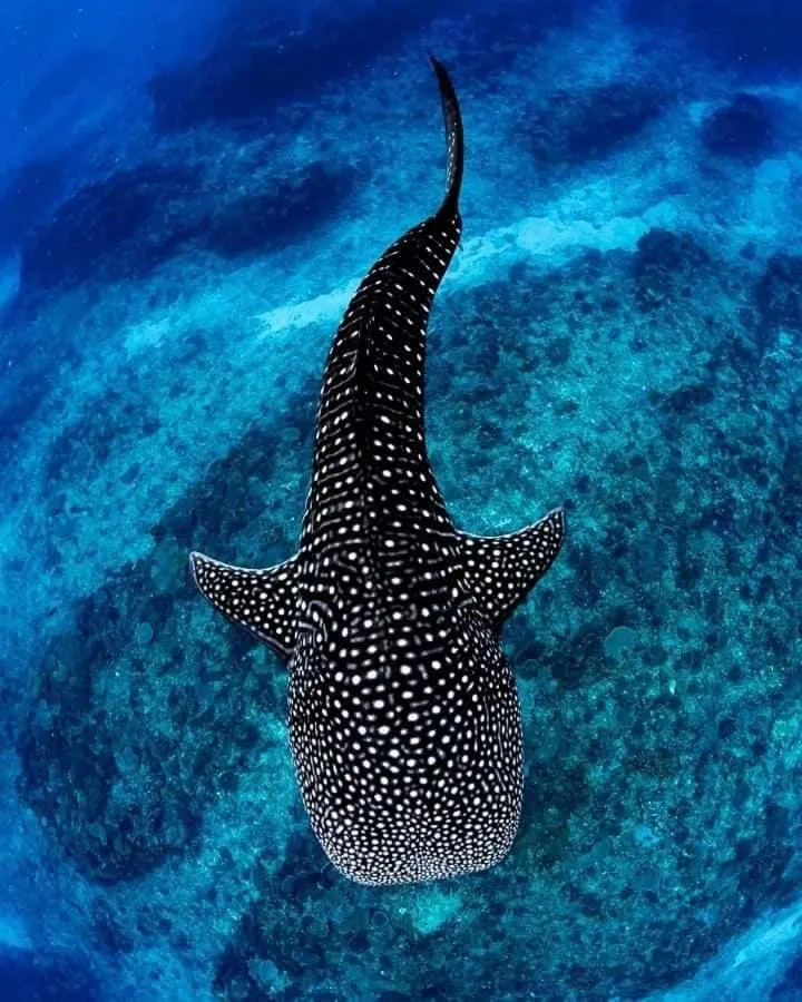 Ningaloo Lodge Exmouth