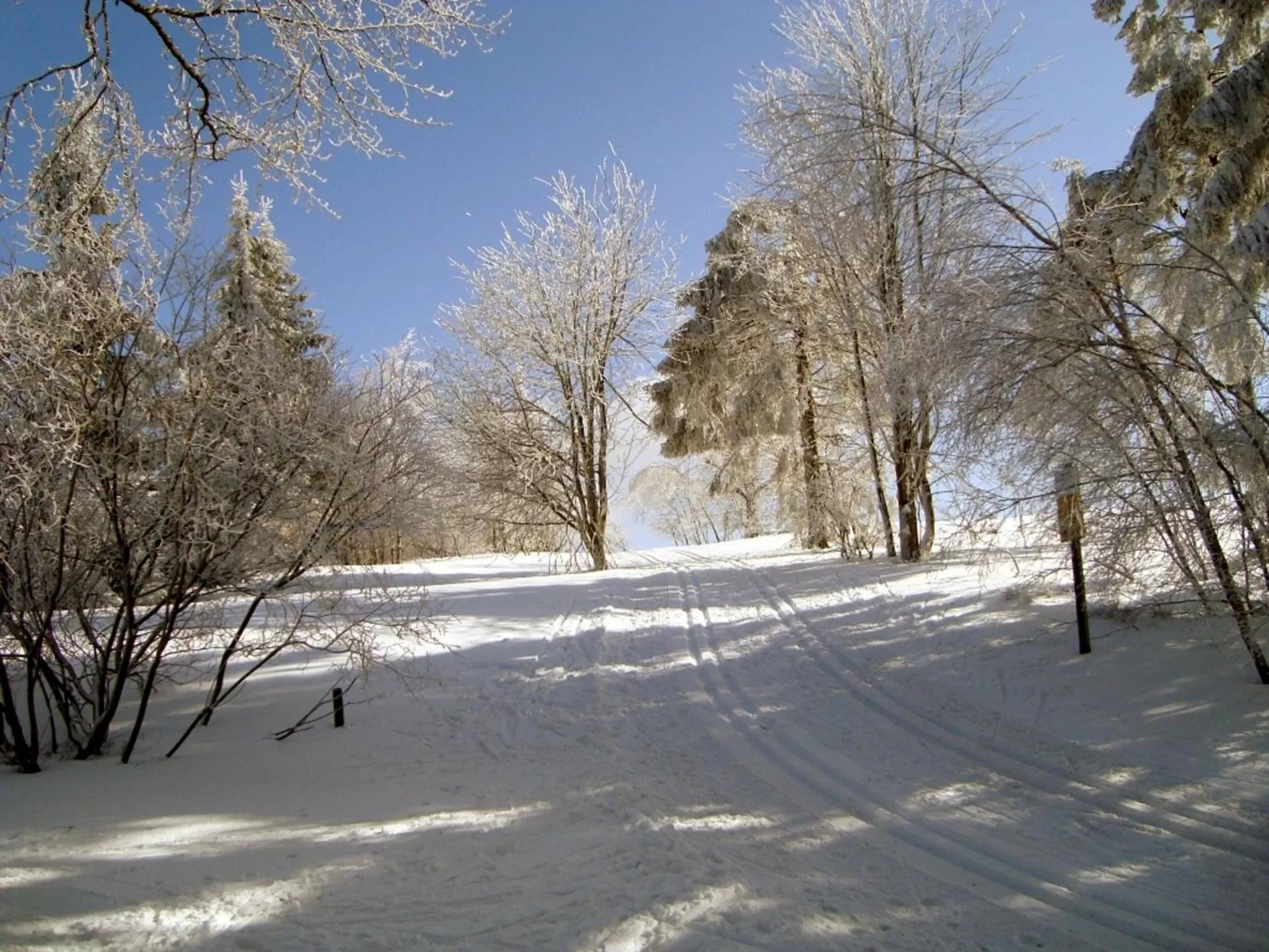 Winter in Heidehotel Hildfeld