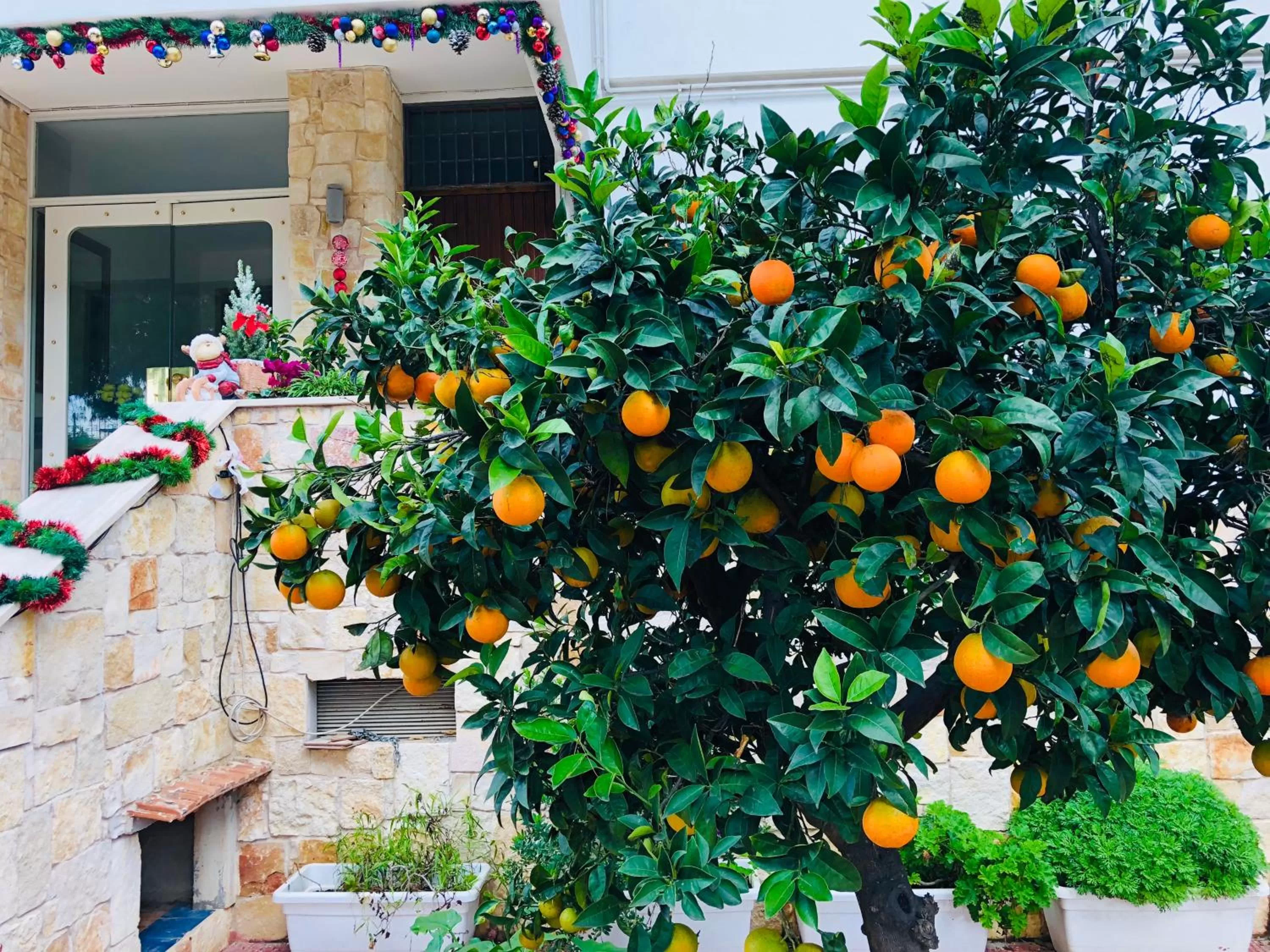 Facade/entrance in Dream & Relax Villa Fiore