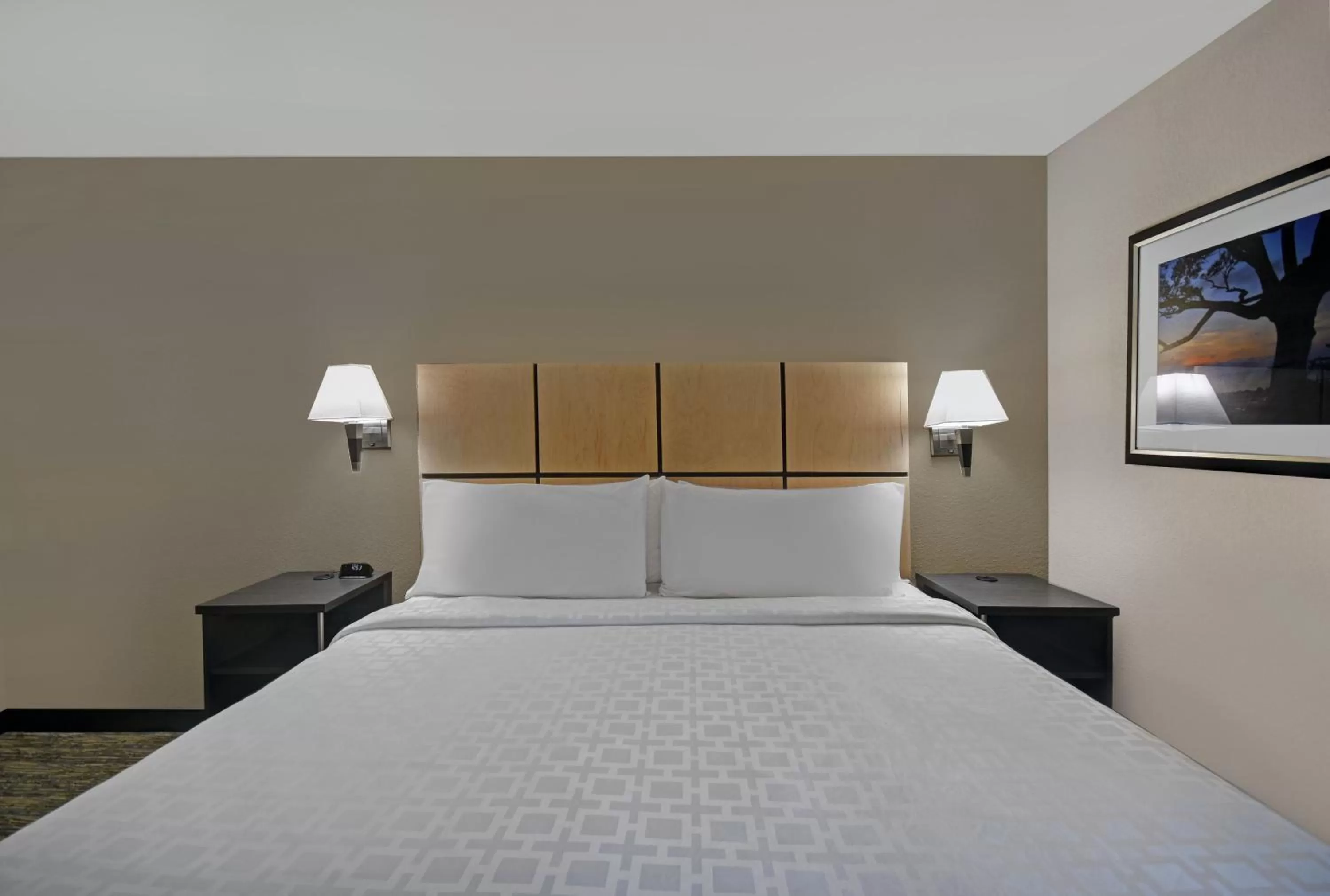 Standard Suite in Candlewood Suites Sumter by IHG