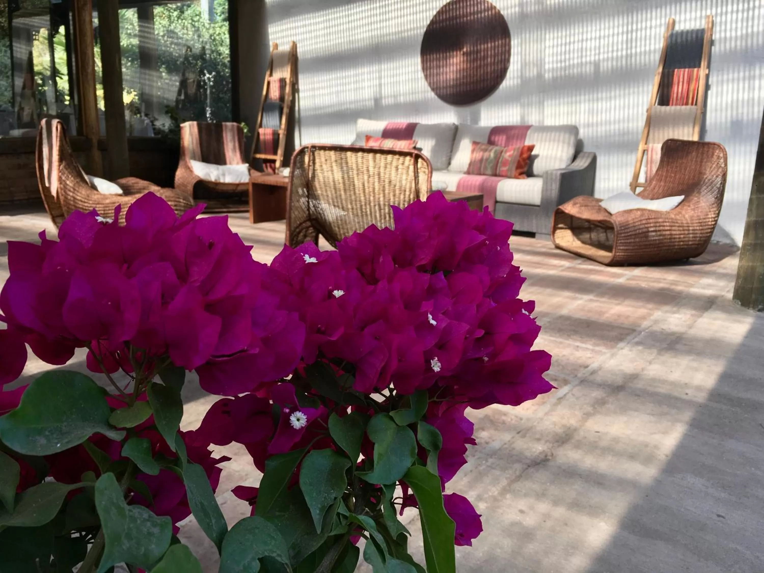 Patio in Hotel Casa De Campo