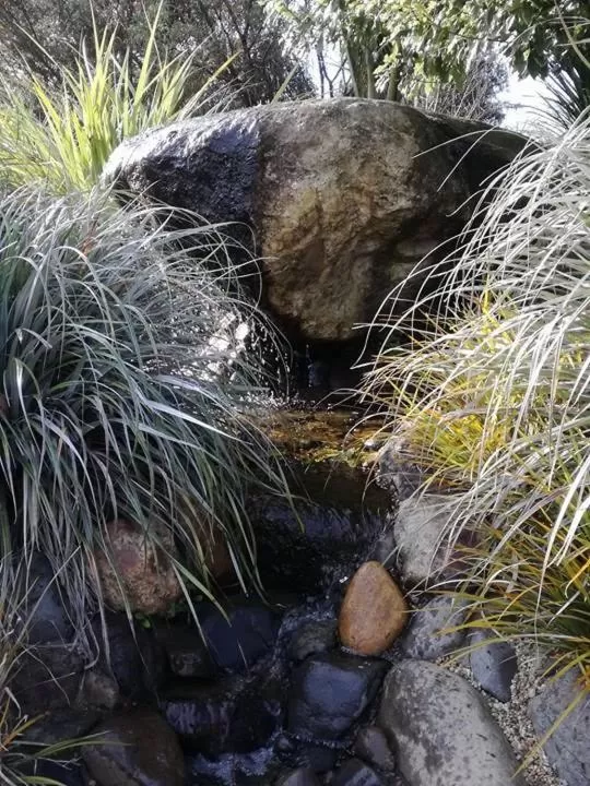 Garden, Other Animals in Conach House