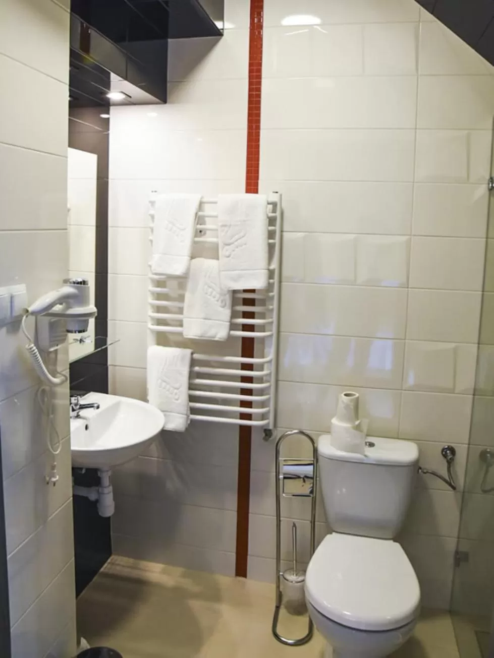 Shower, Bathroom in Willa Szczepaniakówka