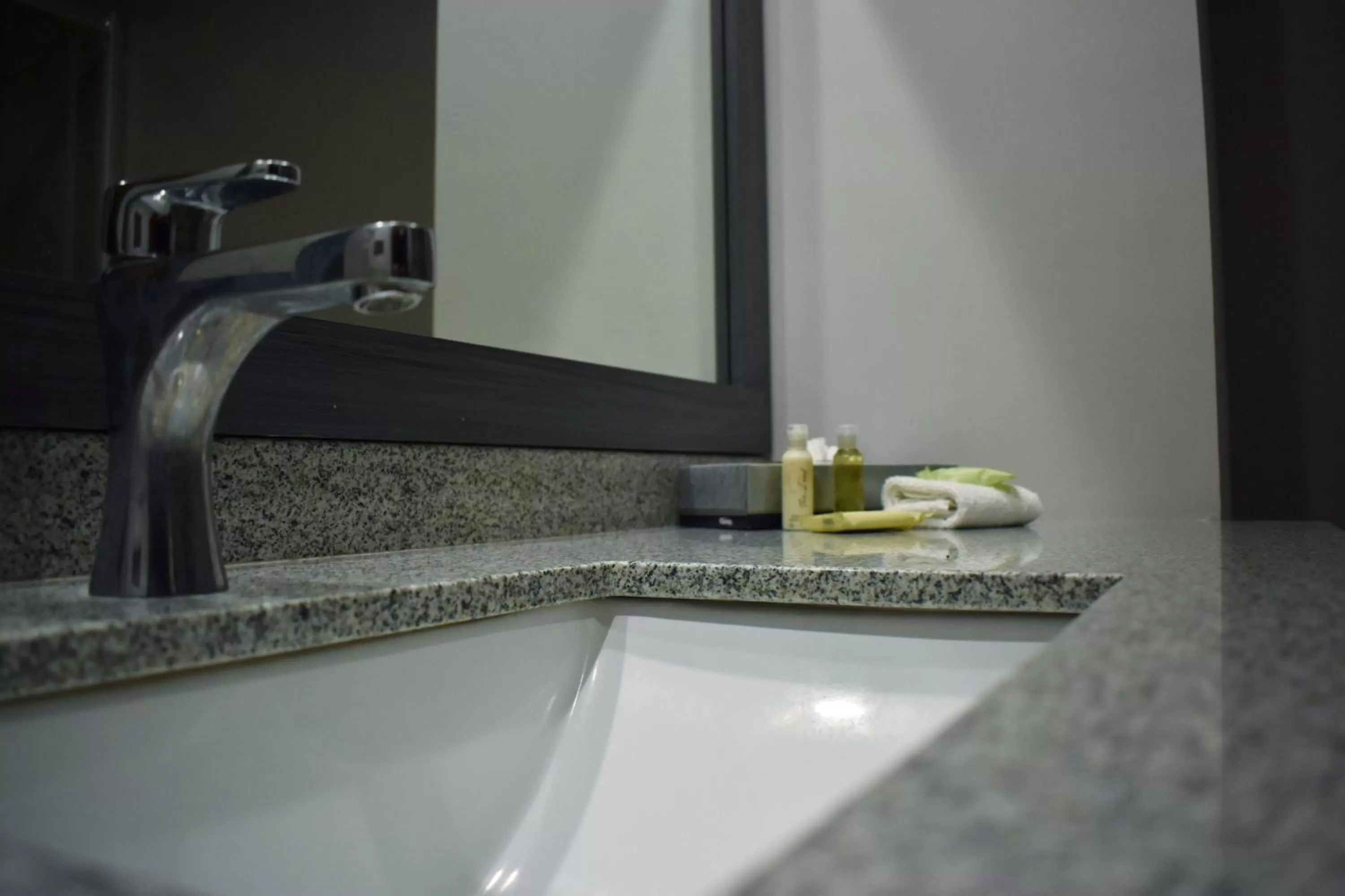 Bathroom in La Quinta by Wyndham Aguascalientes