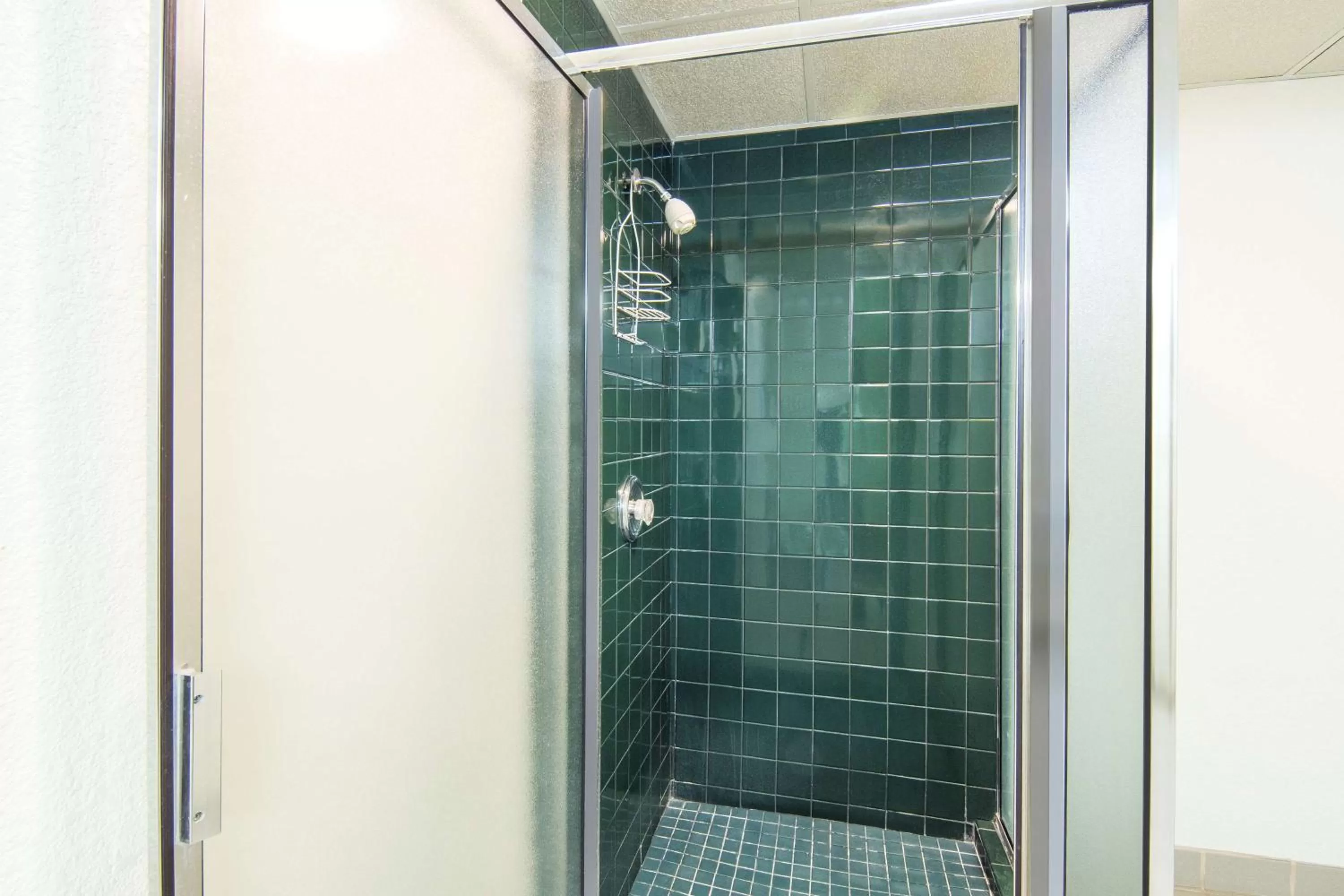 Bathroom in Super 8 by Wyndham Seguin