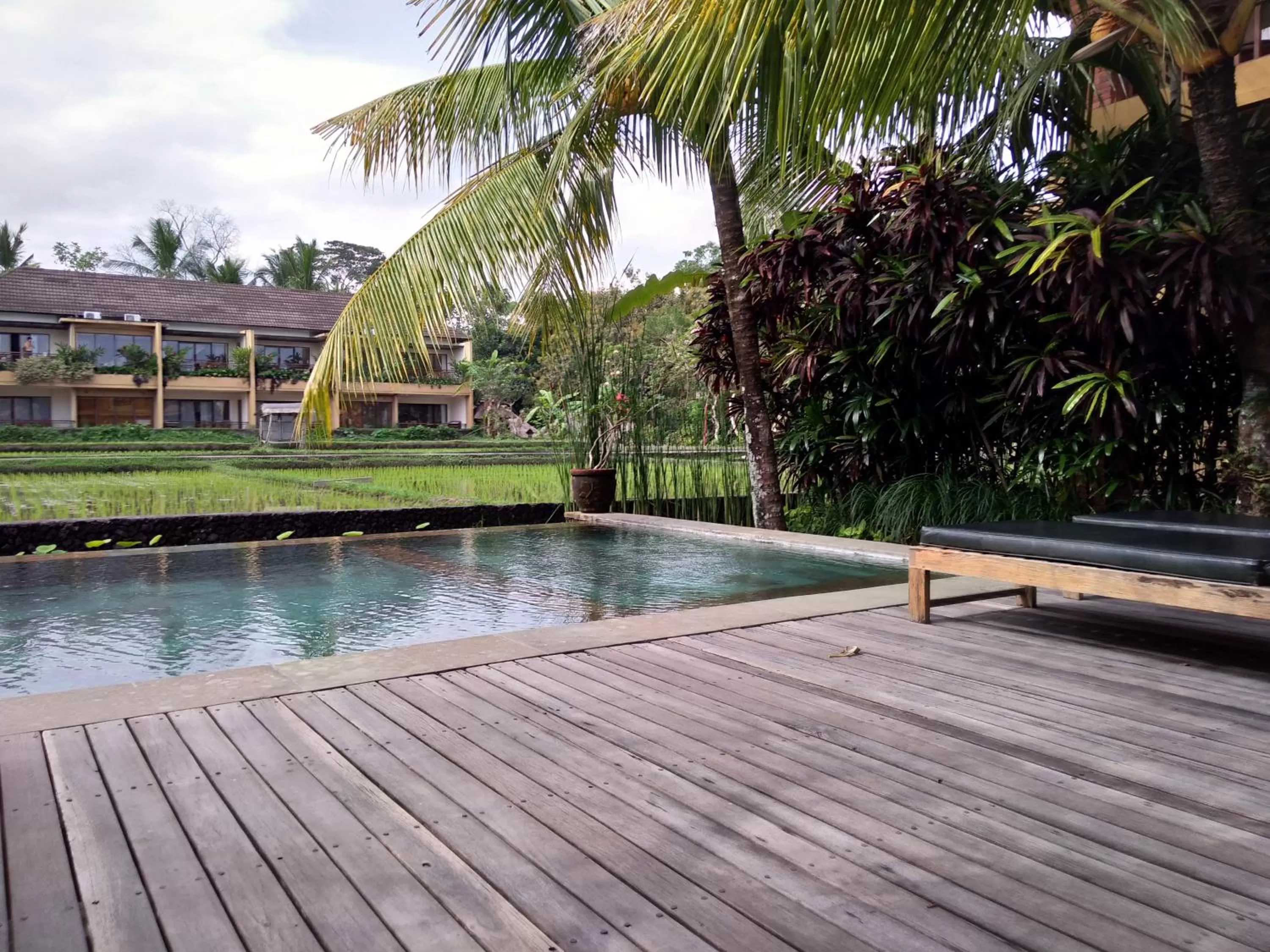 Swimming Pool in Ubud Lestari Bungalows