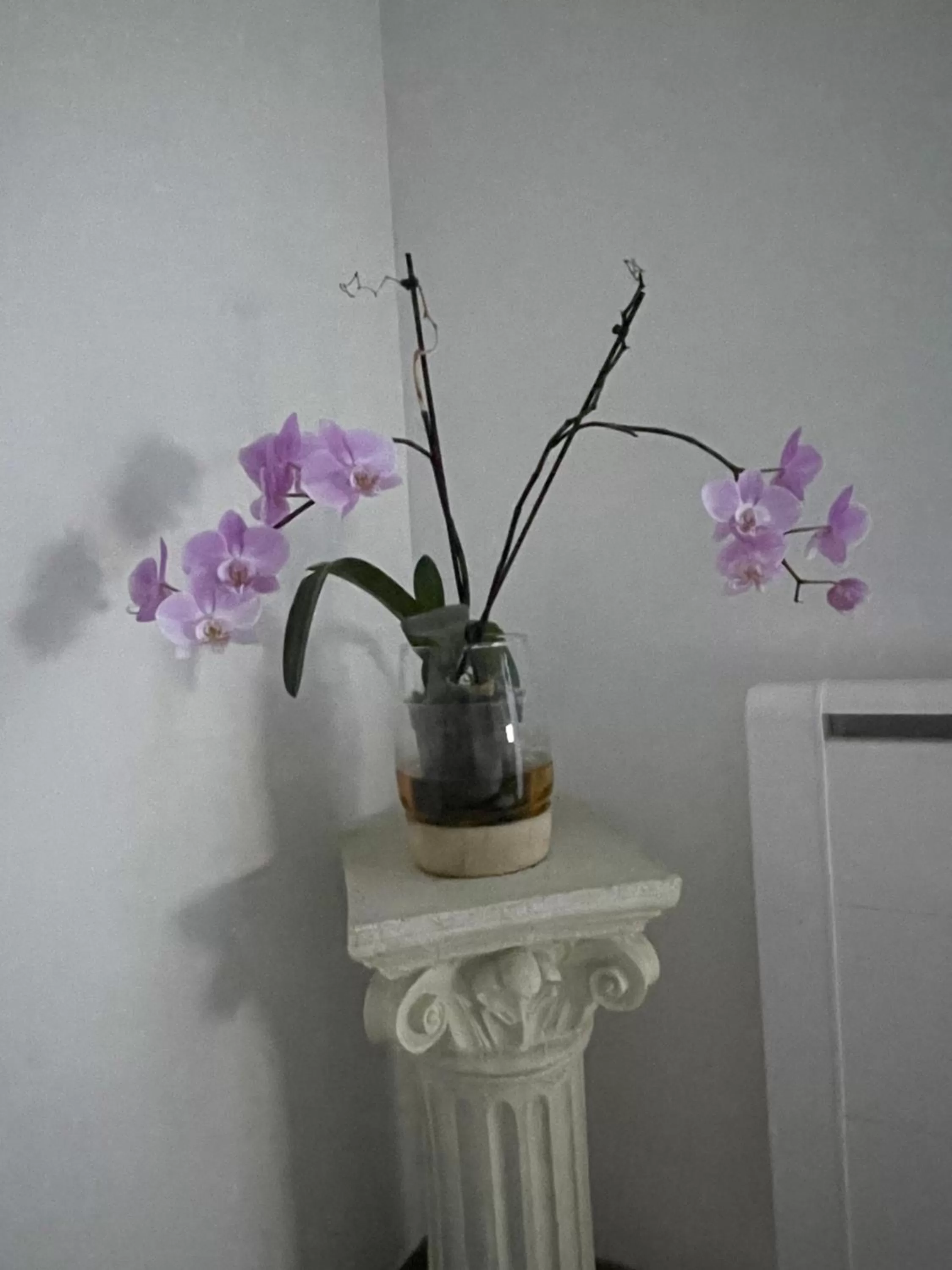 Other in Quiniere - Entre Lac et Forêt