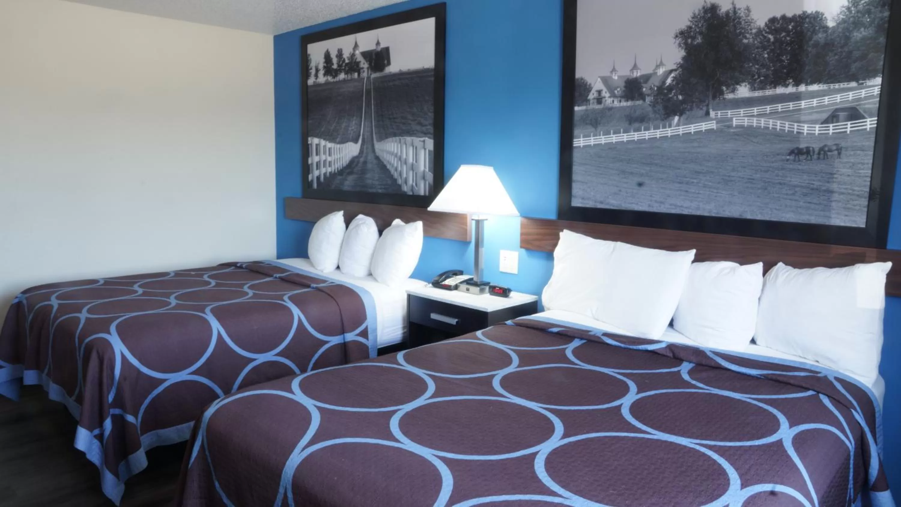 Bed in Rodeway Inn Elkhart