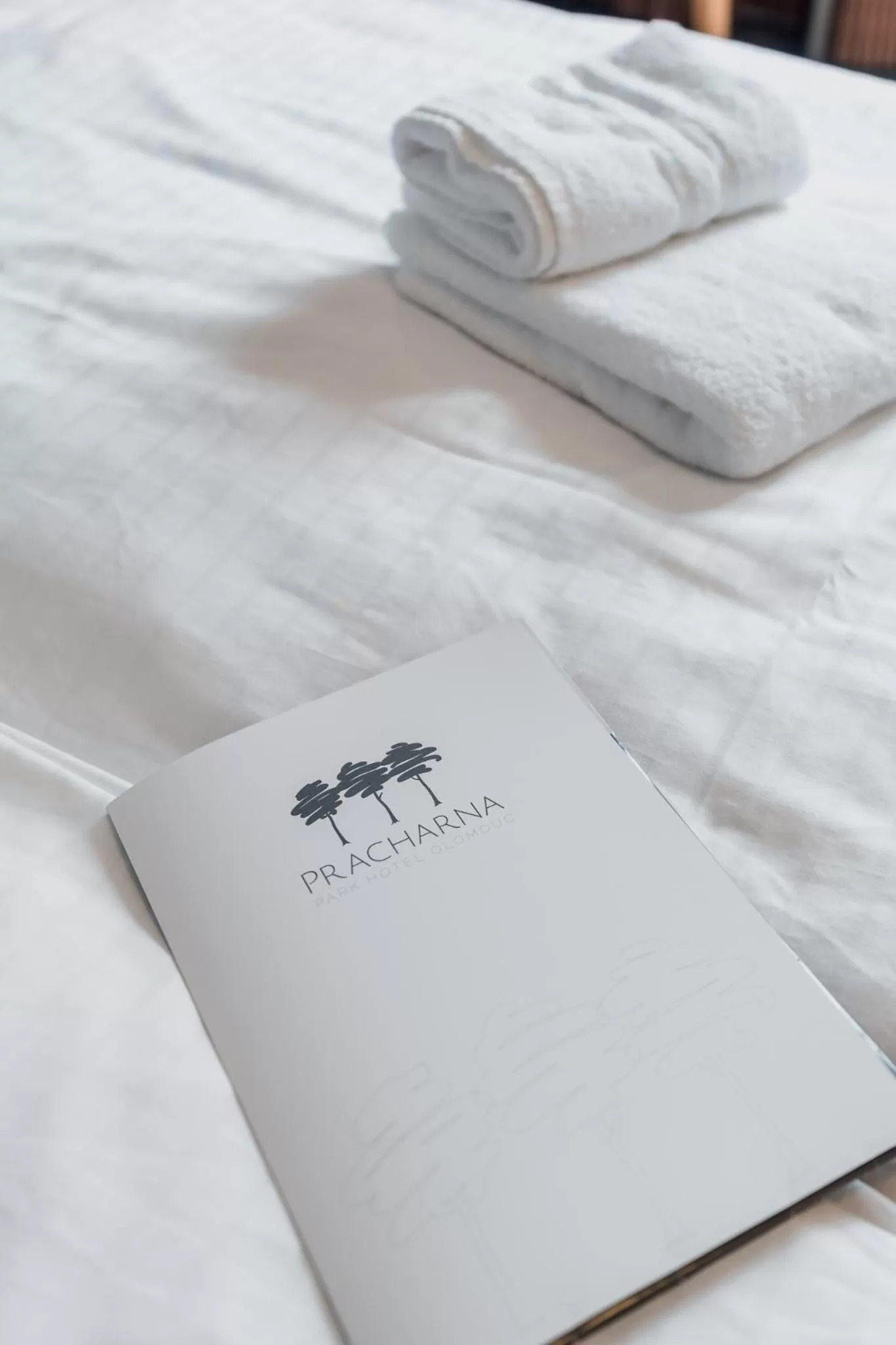 Bed in Prachárna Park Hotel Olomouc