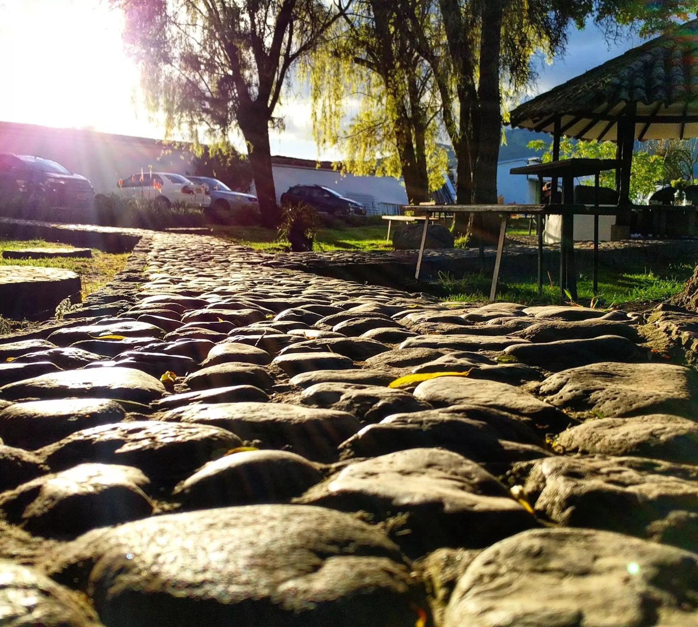 Garden, Beach in Posada Cafe La Huerta