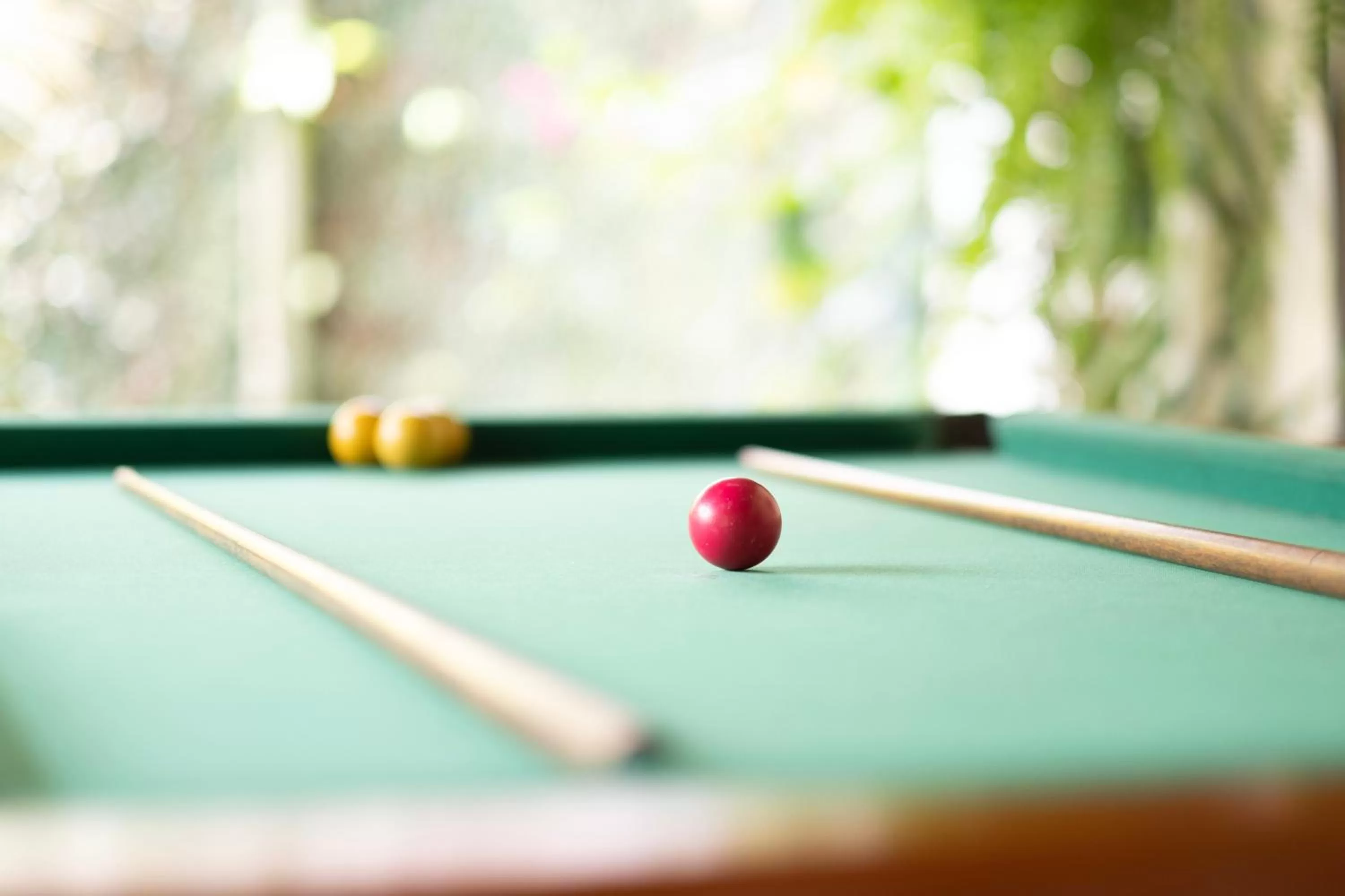 Game Room in Hotel Mount Everest