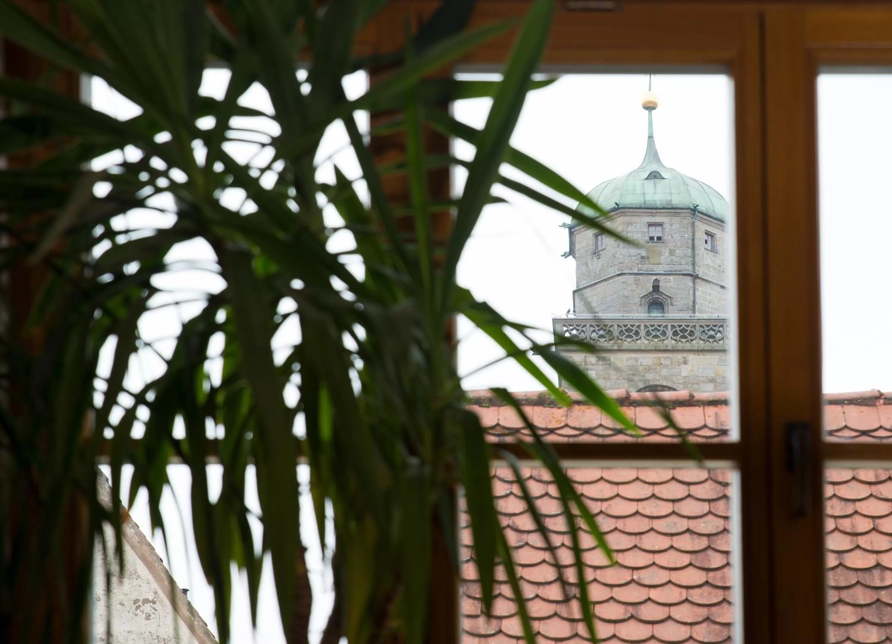 City view in Hotel PIAZZA