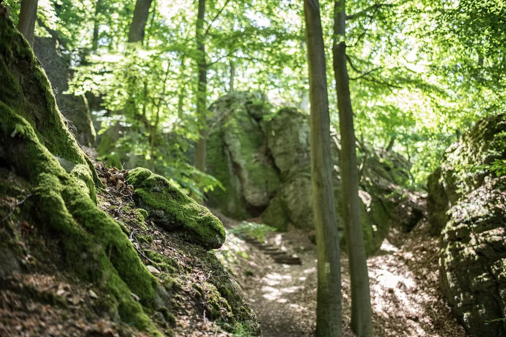 Spring, Natural Landscape in Suites MITTE - Aparthotel