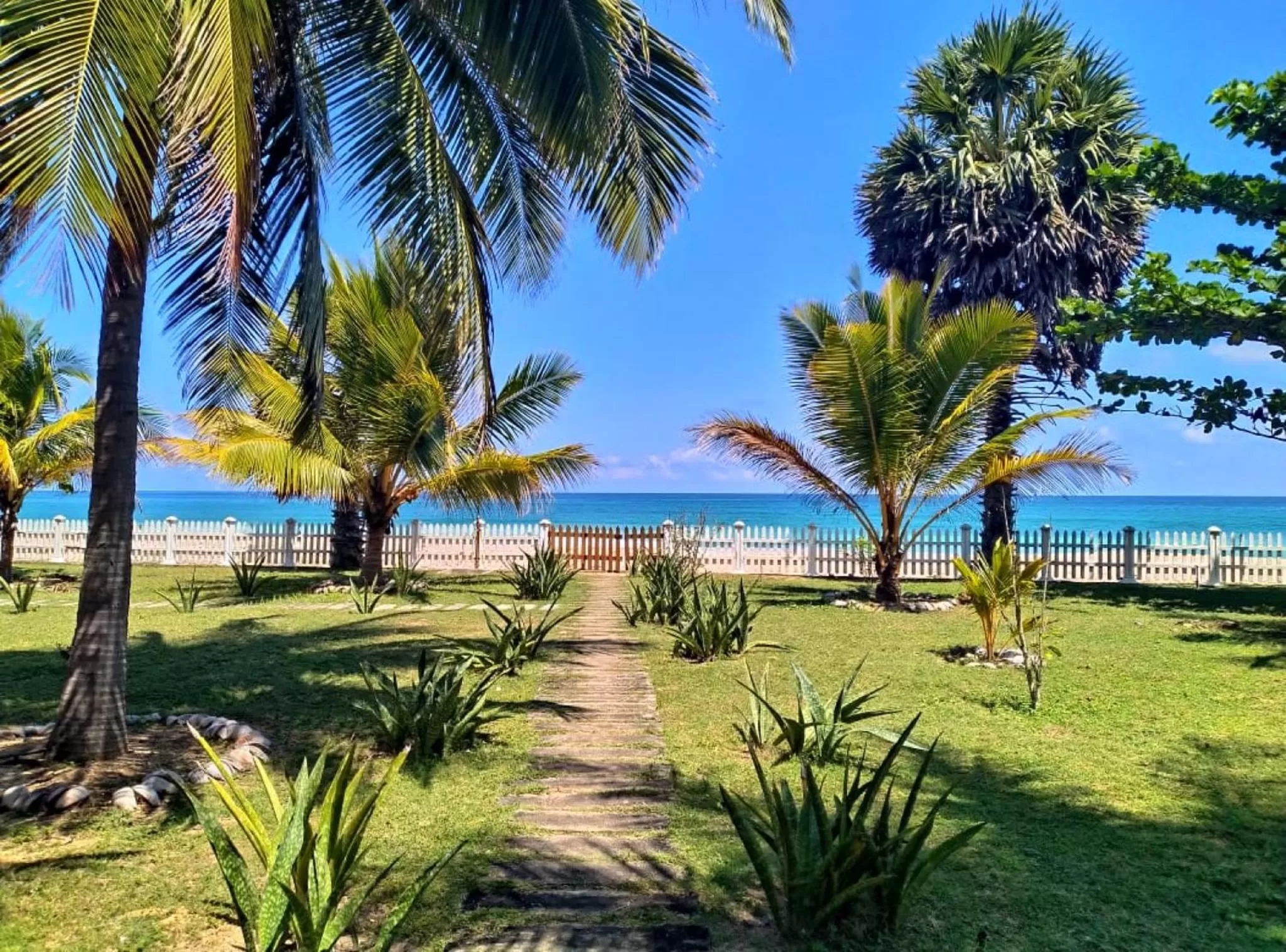 Garden in Pearl Oceanic Resort - Trincomalee