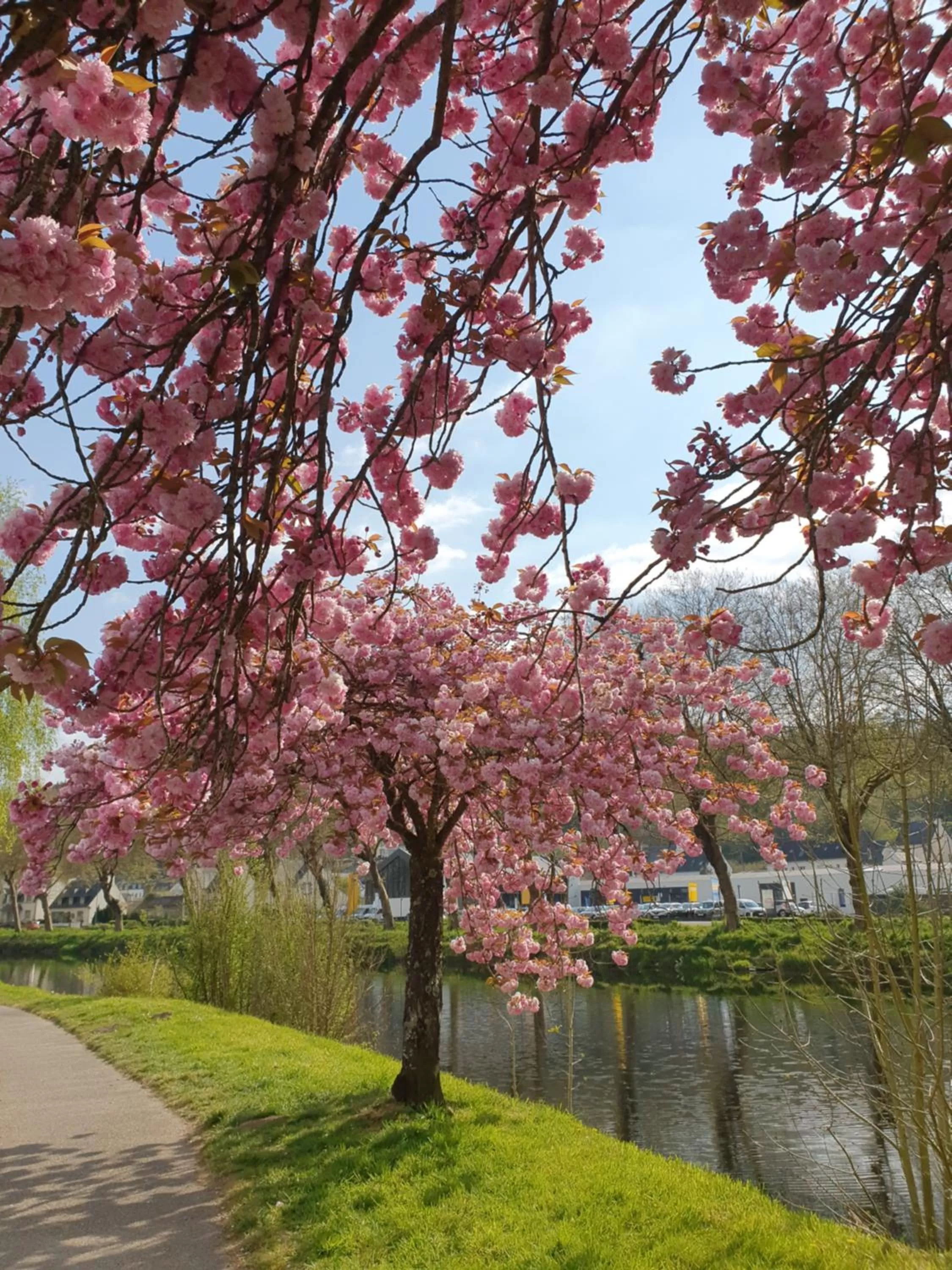 Garden in Chambres Dhôtes Numéro 1