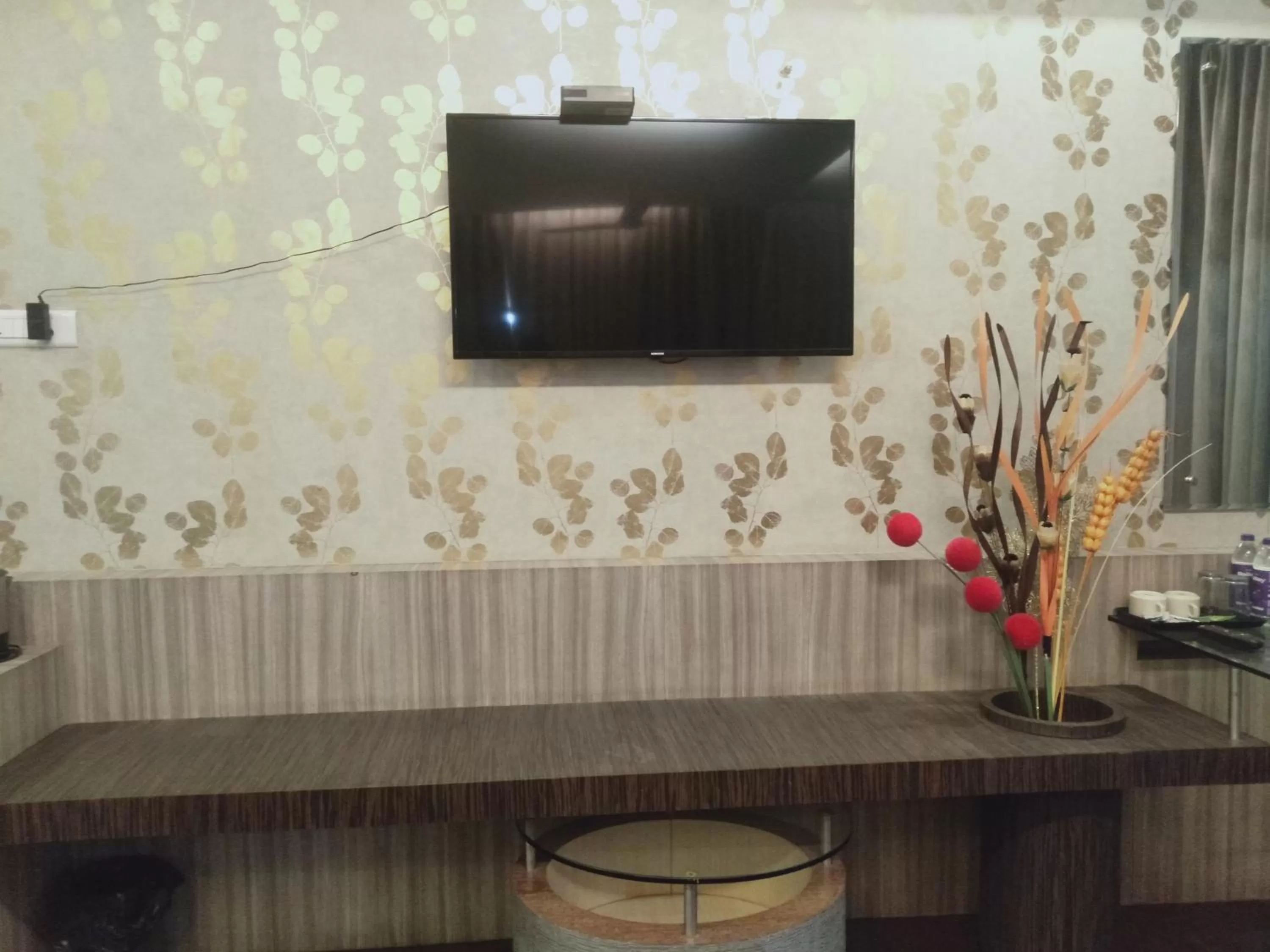 TV and multimedia in Hotel Udayanraje Palace