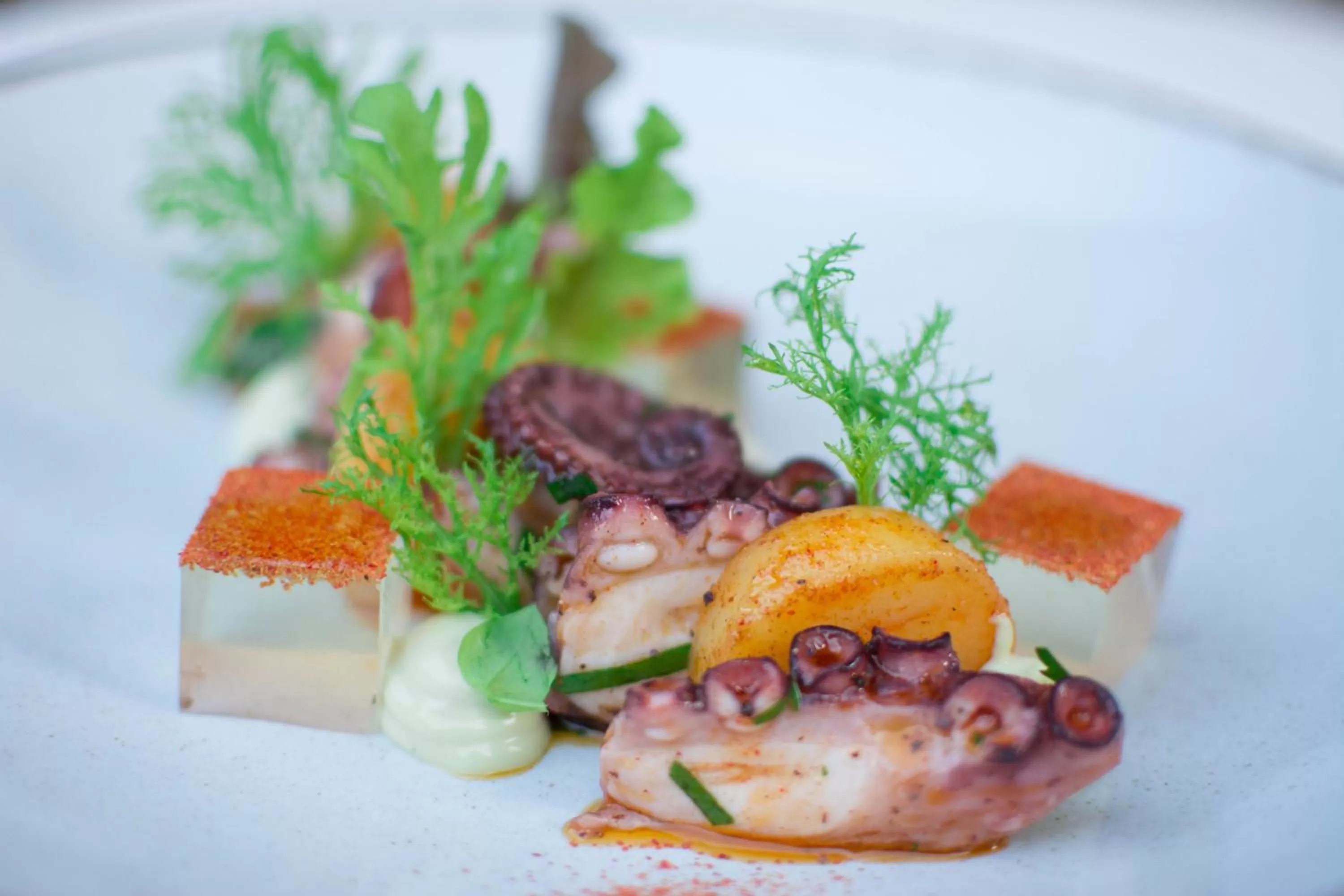 Food close-up in Hotel 1231