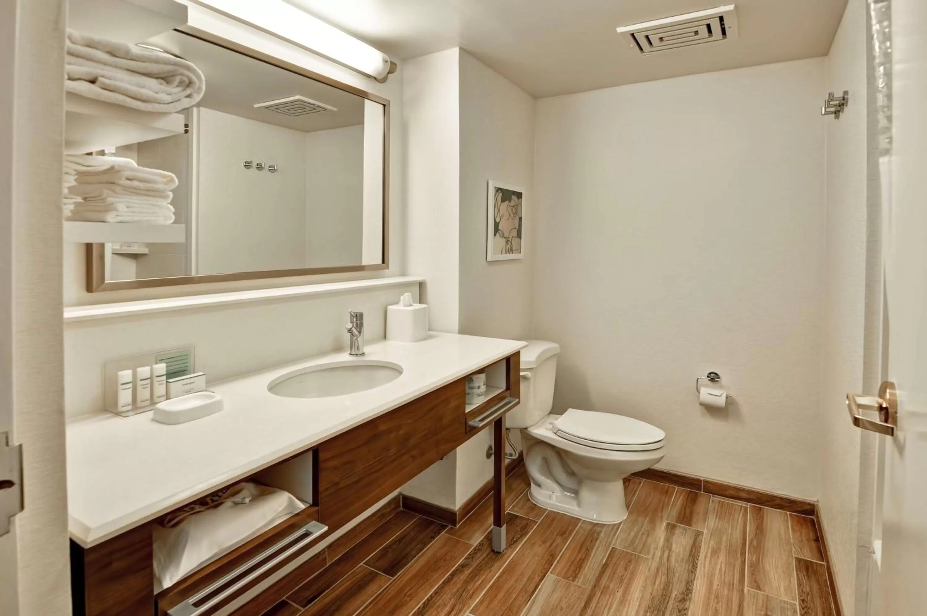 Bathroom in Hampton Inn Boca Raton