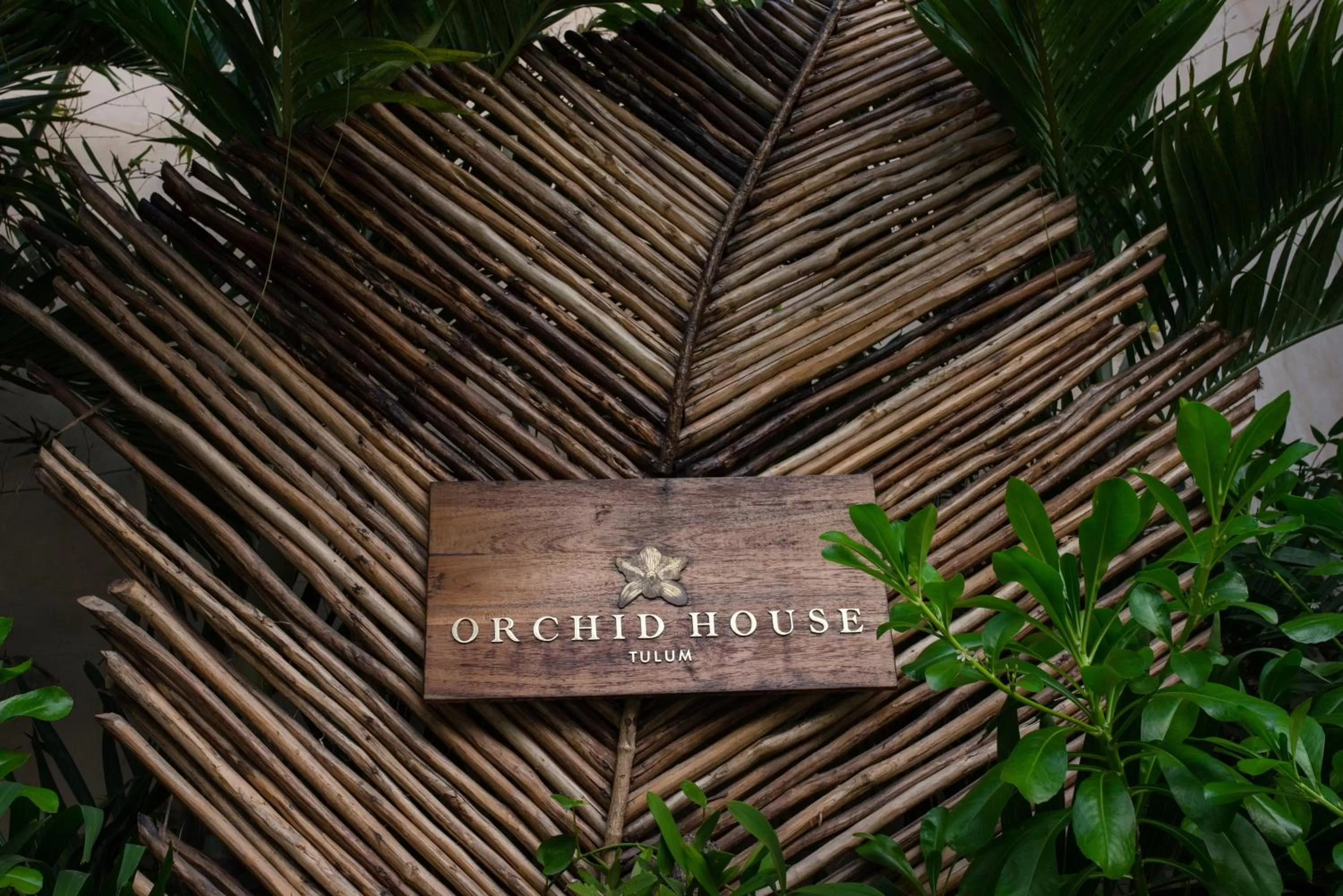 Logo/Certificate/Sign in Orchid House Tulum Jungle