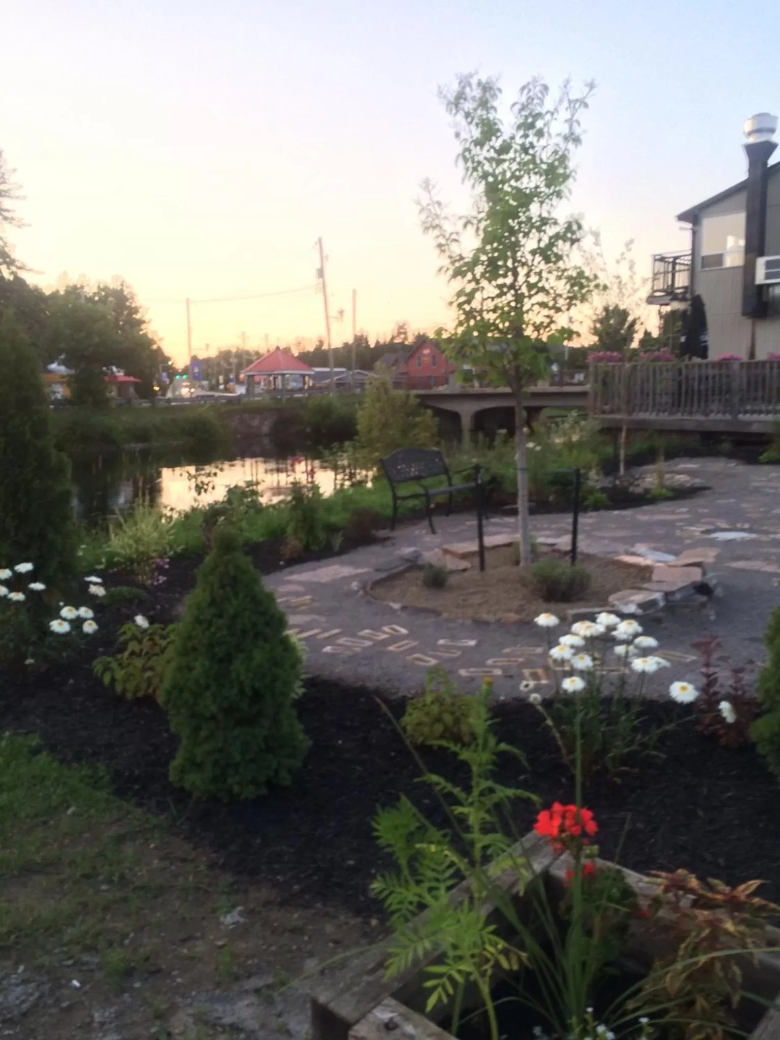 Garden view in Dominion Hotel