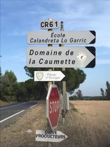 Natural landscape in La cactée singulière