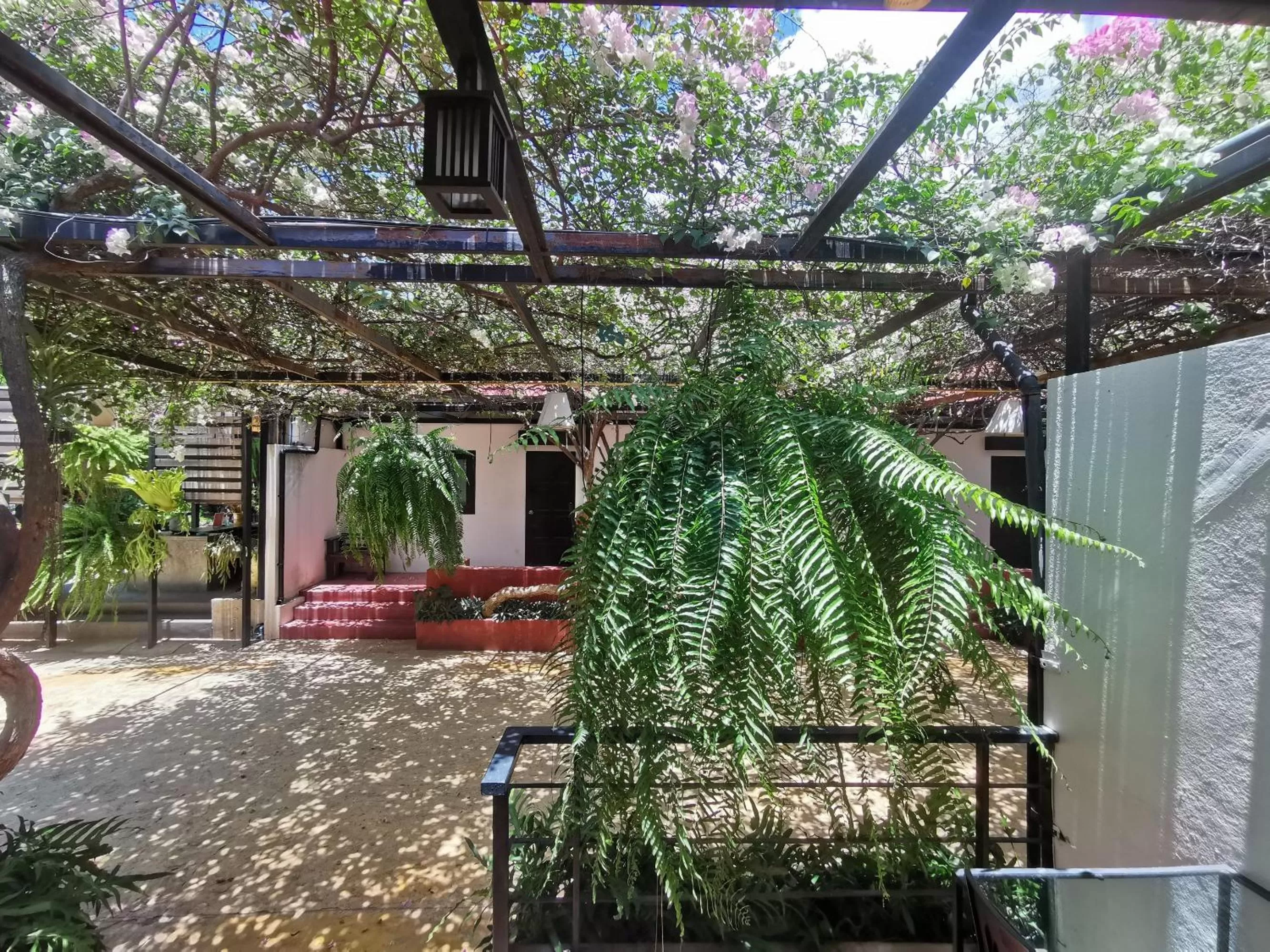 View (from property/room) in Amara Resort Hua Hin