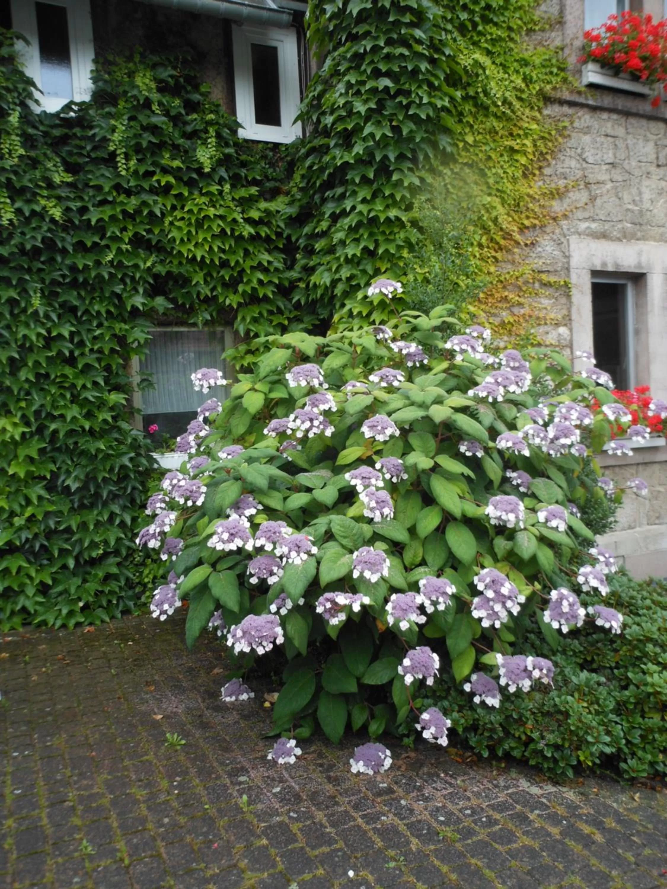 Balcony/Terrace in Westfalenhof Garni