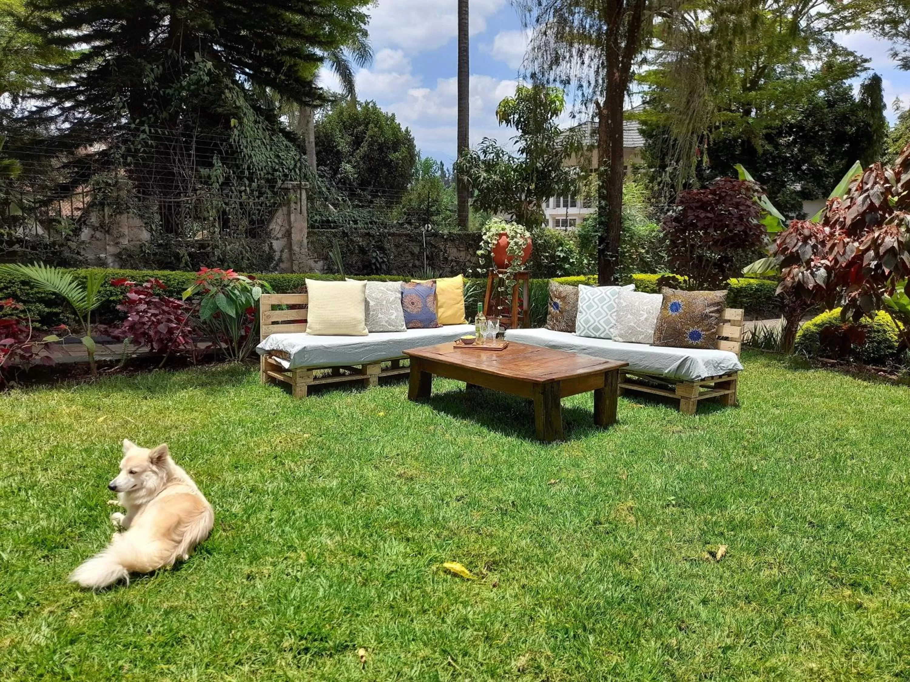 Garden view in Utamaduni House B&B