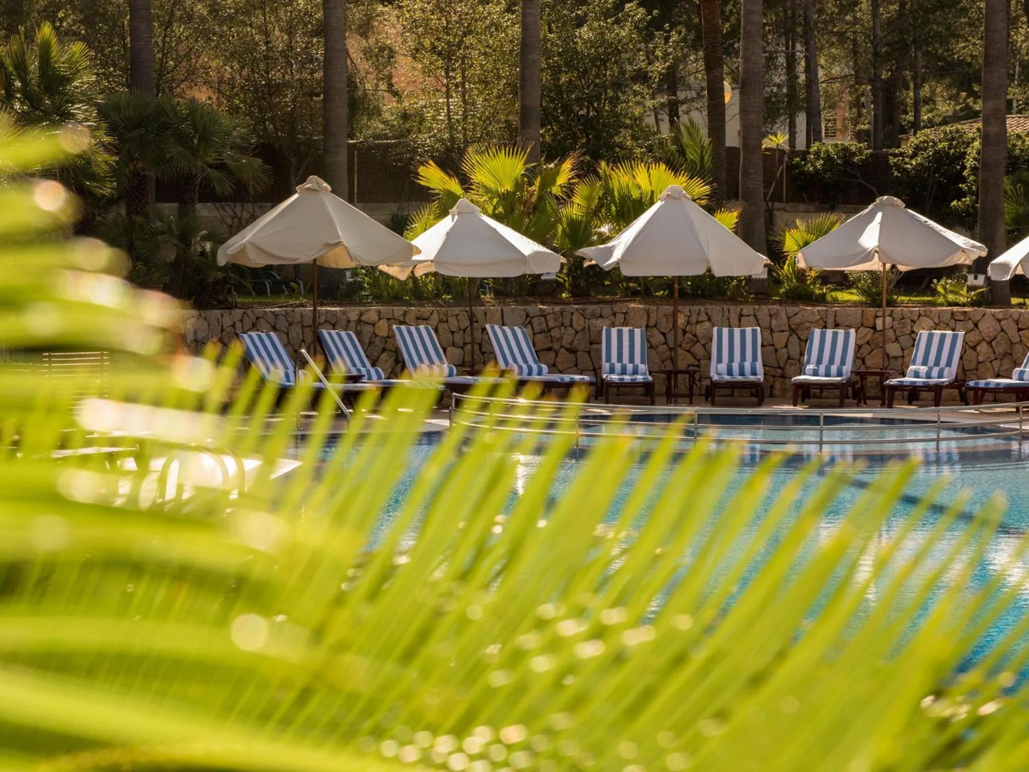 Swimming pool in Hotel Cala Sant Vicenç - Adults Only