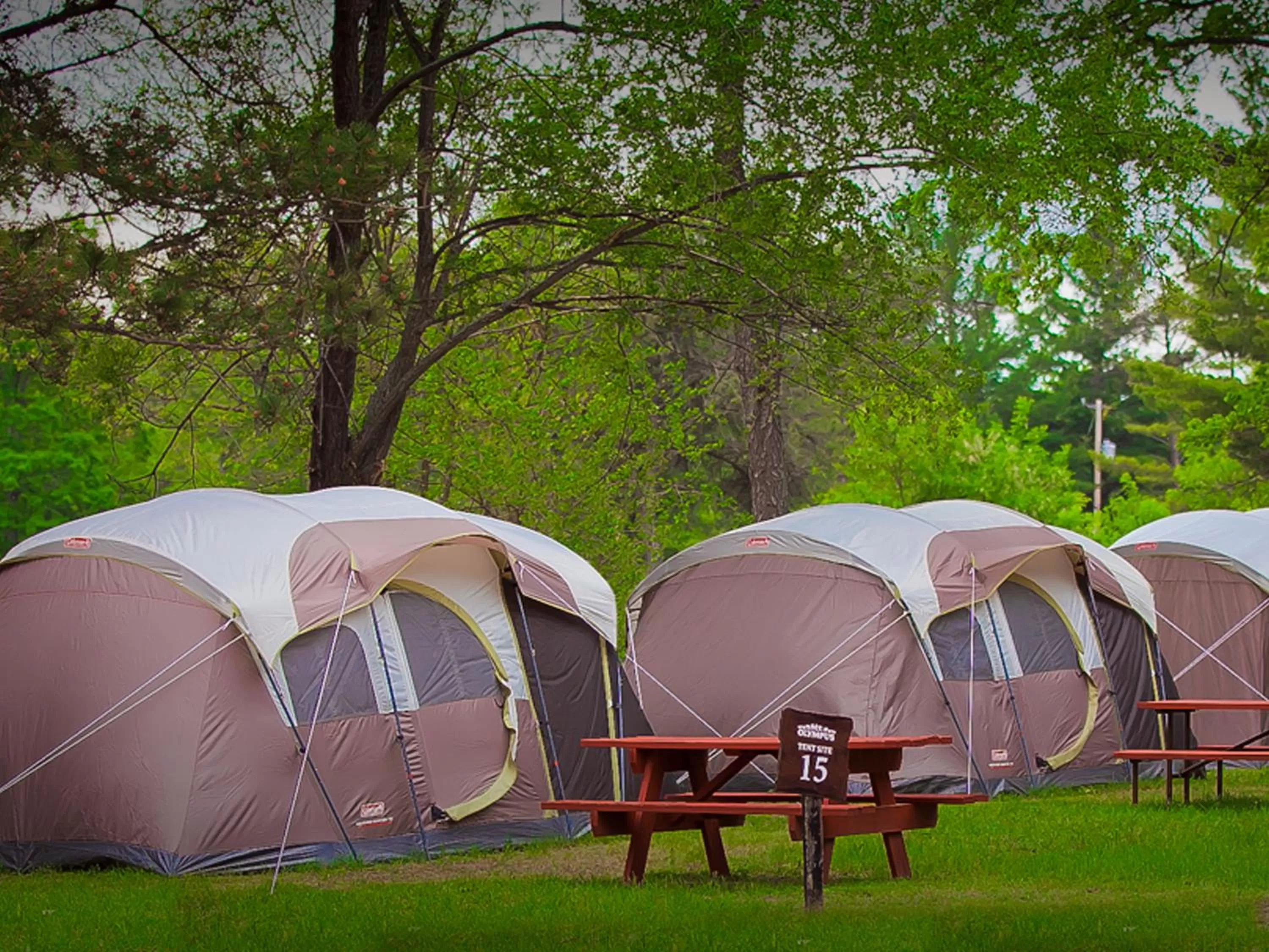 Natural landscape in MT. OLYMPUS WATER PARK AND THEME PARK RESORT