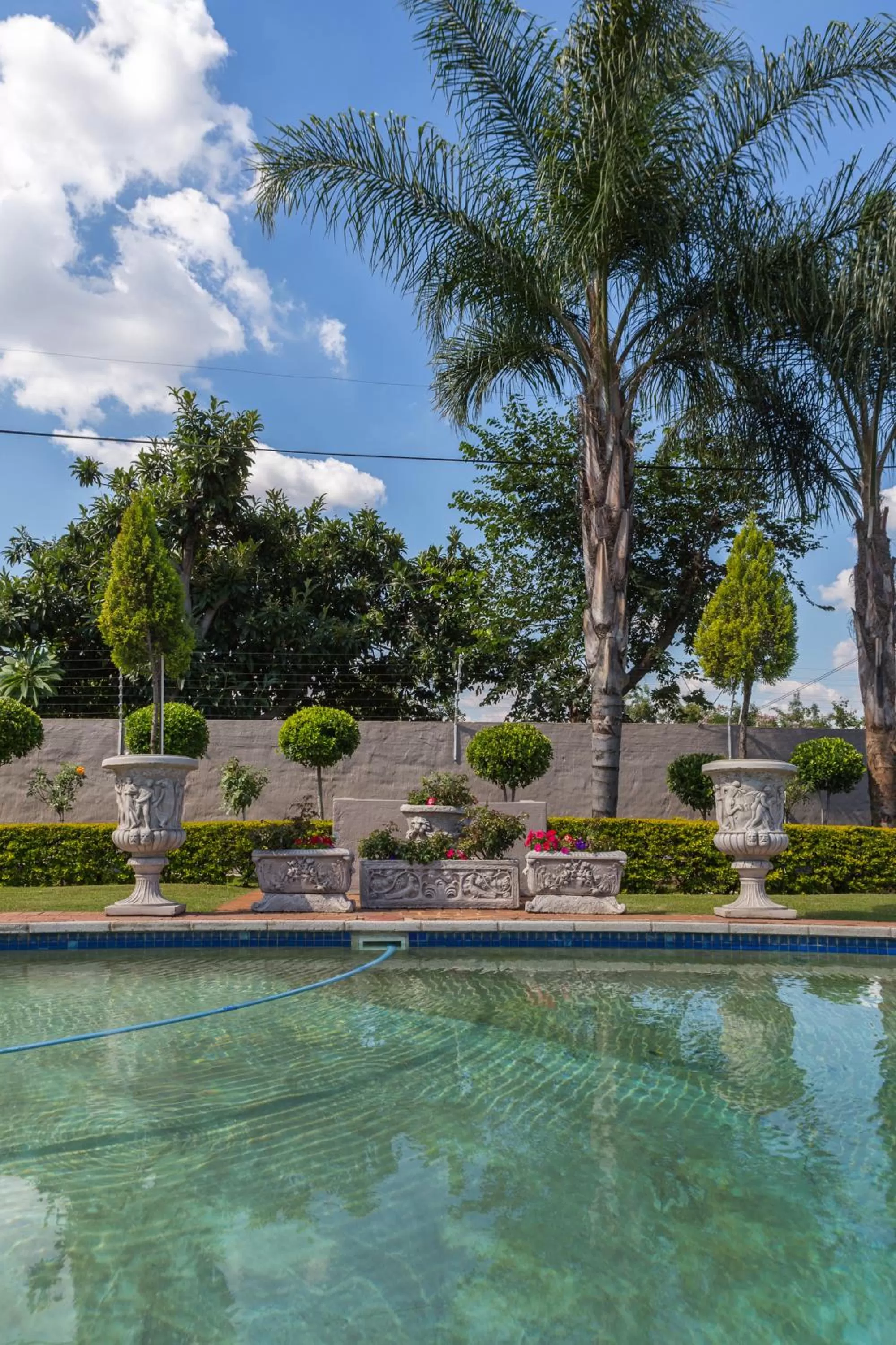 Garden in La Vida Luka - Luxury Guesthouse