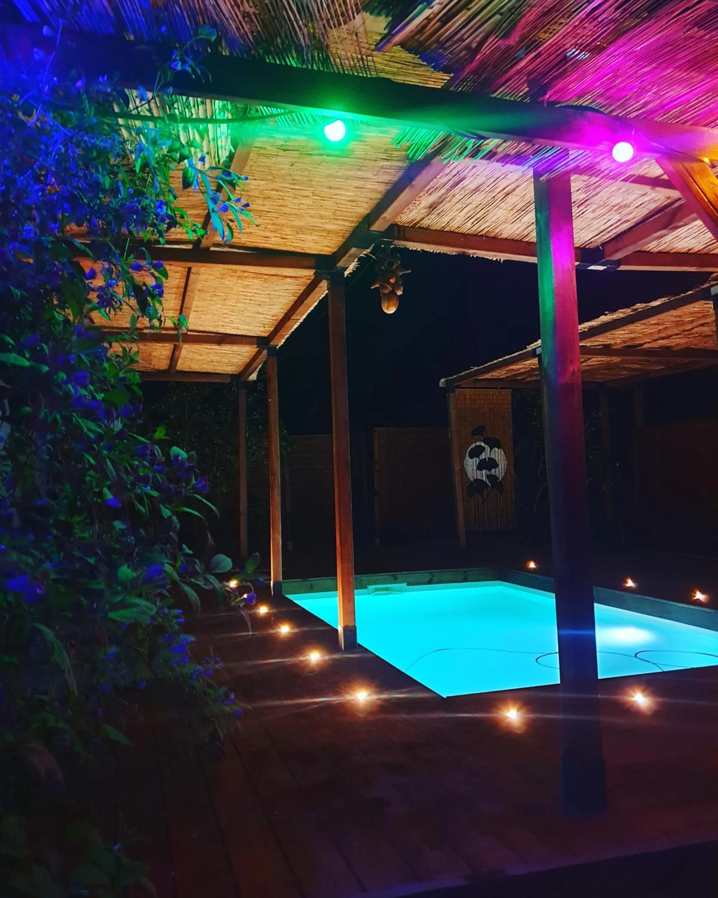 Swimming pool in Les 2 Drôles d'Oiseaux