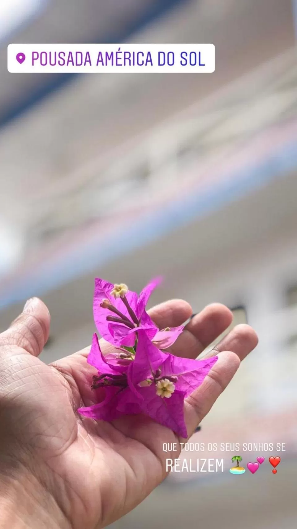 Garden in Pousada America do Sol