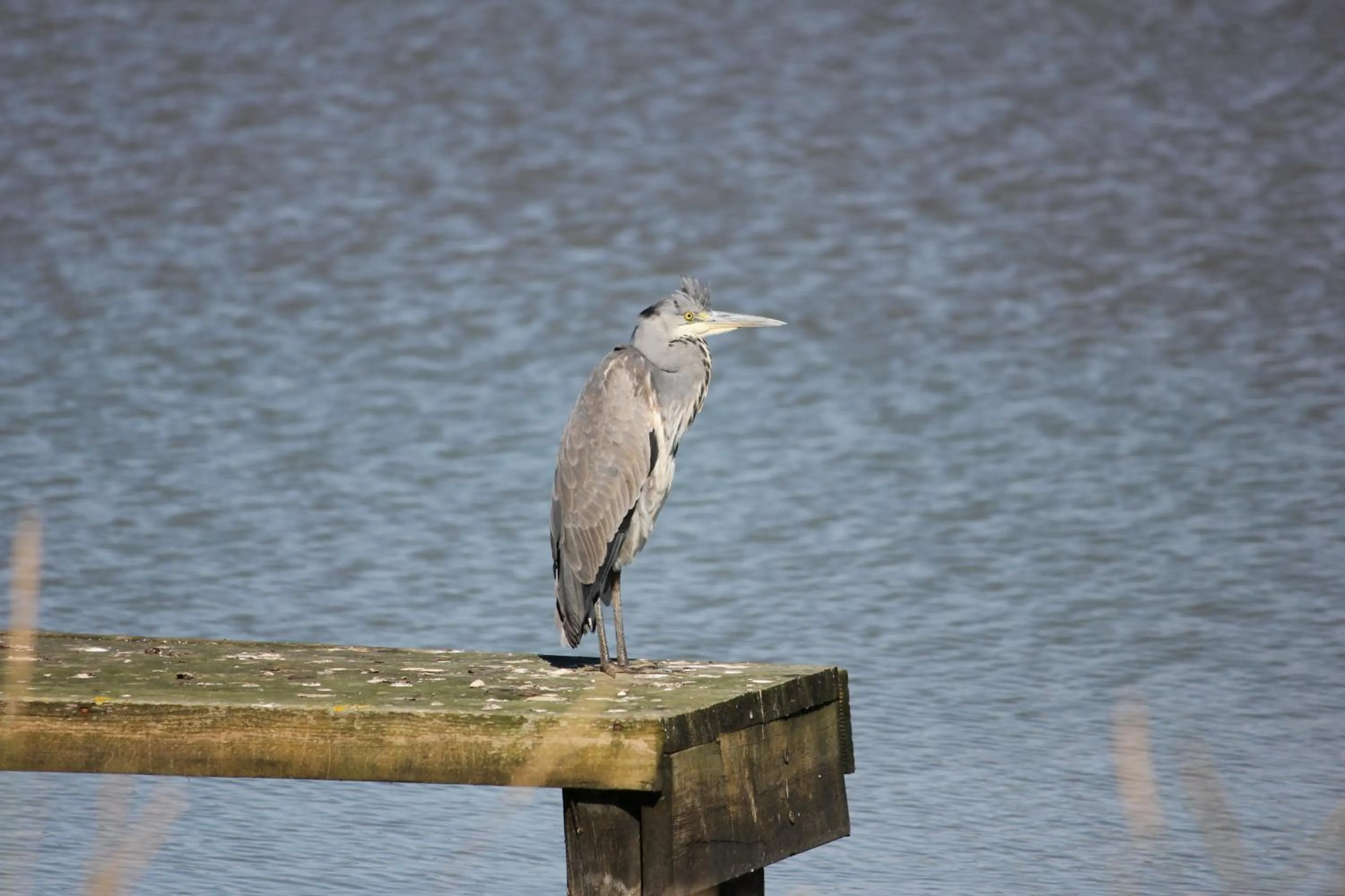 View (from property/room) in Lakeside Park Hotel & Spa