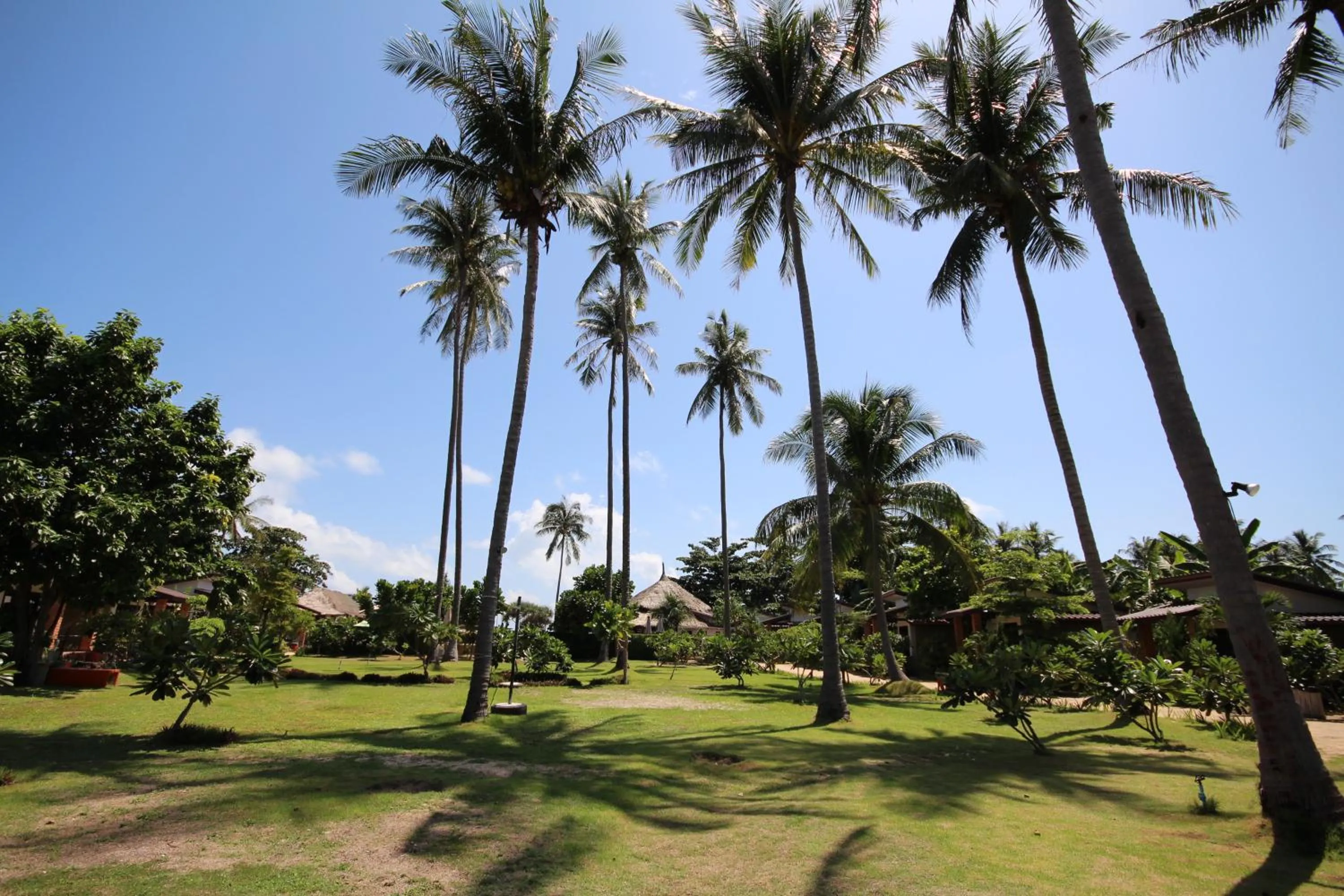 On site in Coco Lanta Resort - SHA Extra Plus