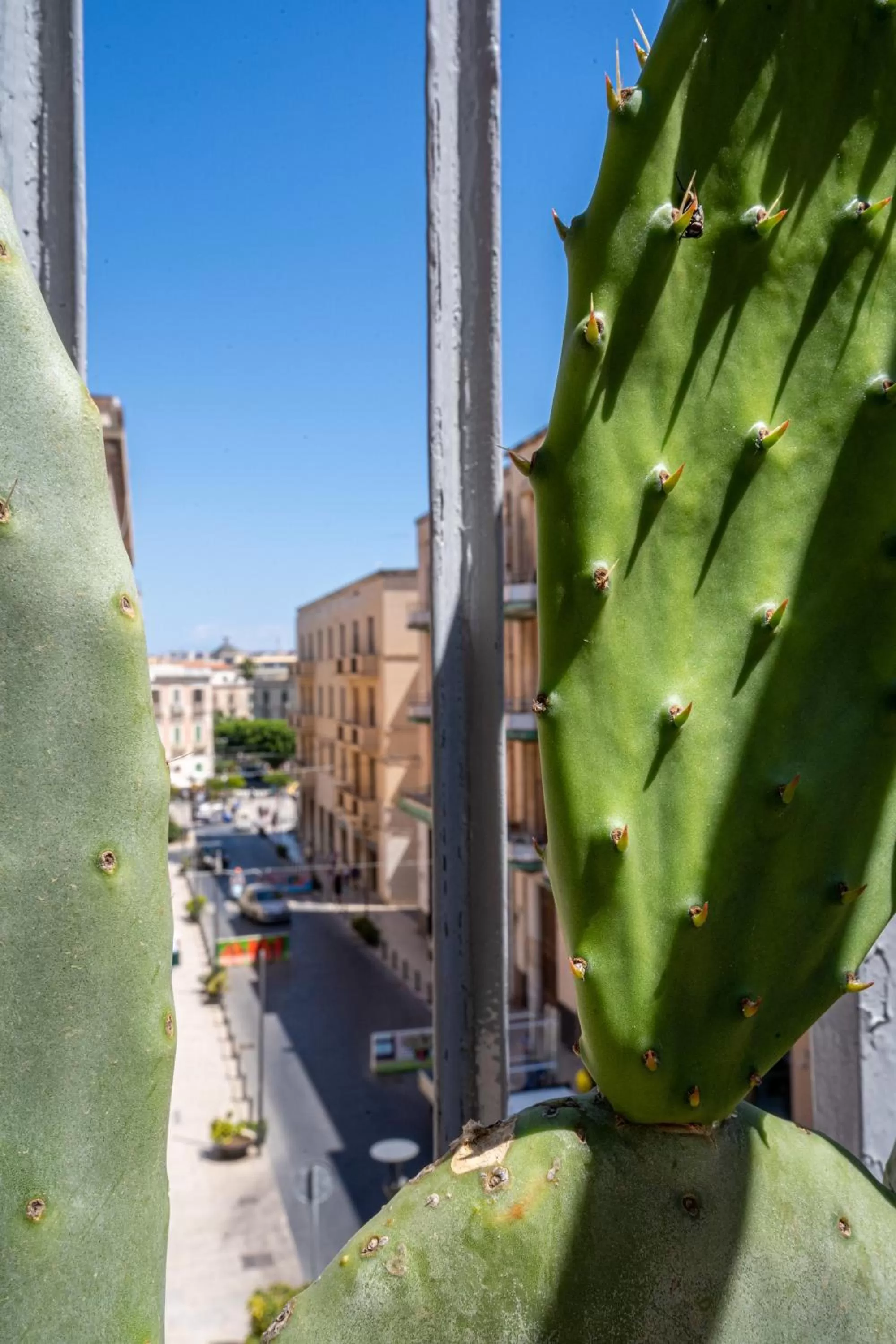 Neighbourhood in Joy's Bnb Ortigia