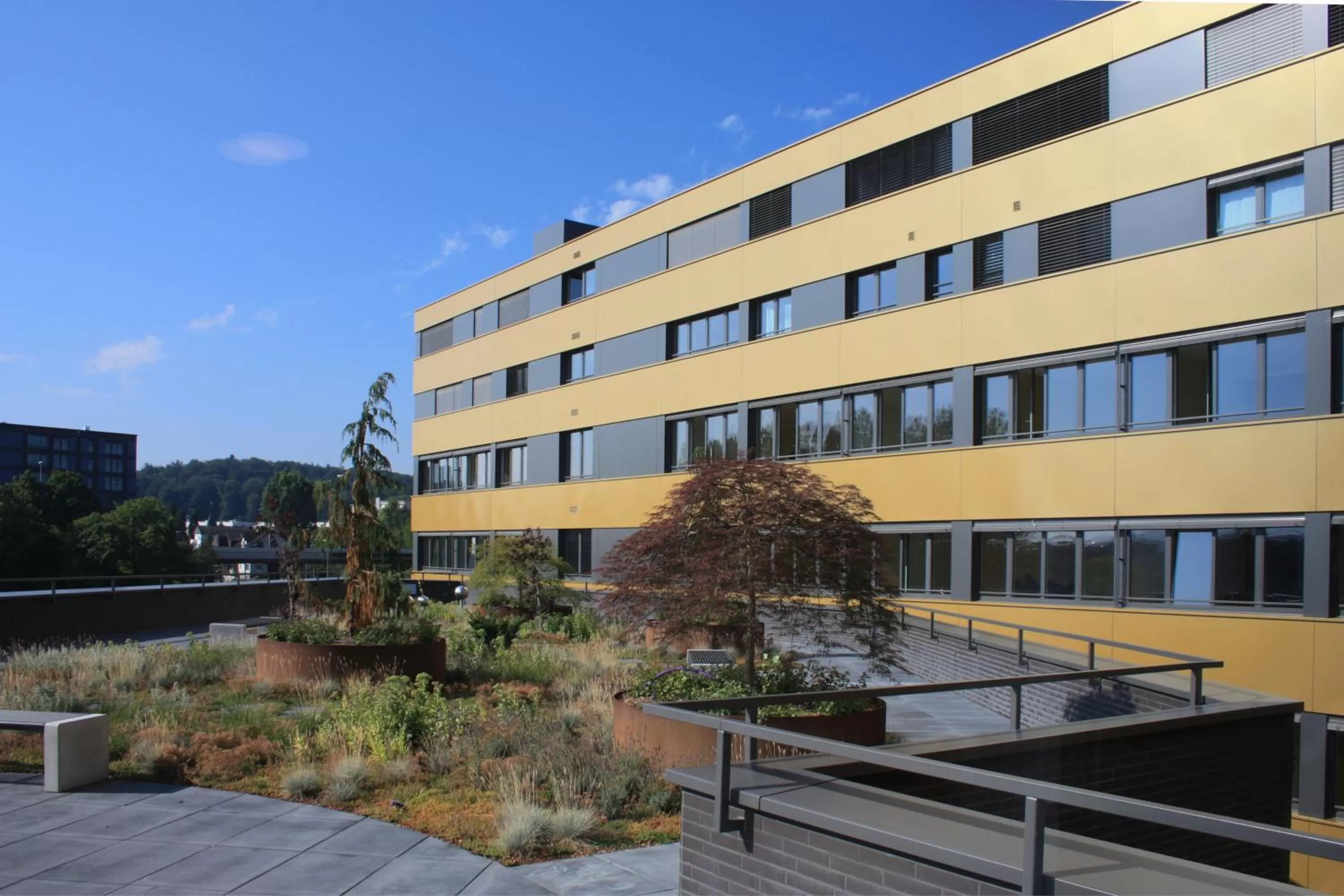 Balcony/Terrace in Focus Hotel