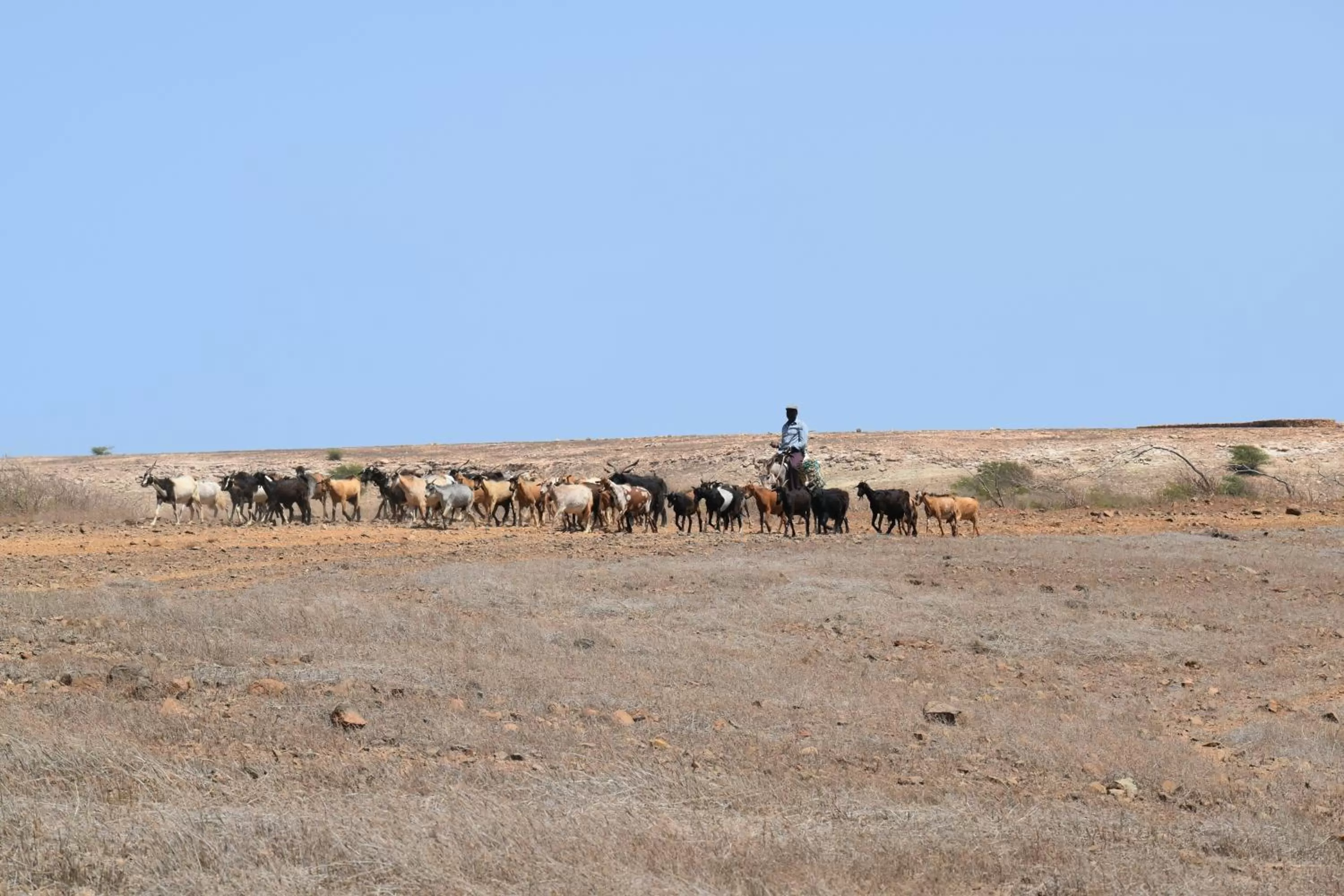 Natural landscape in Atlantic Maio Hotel