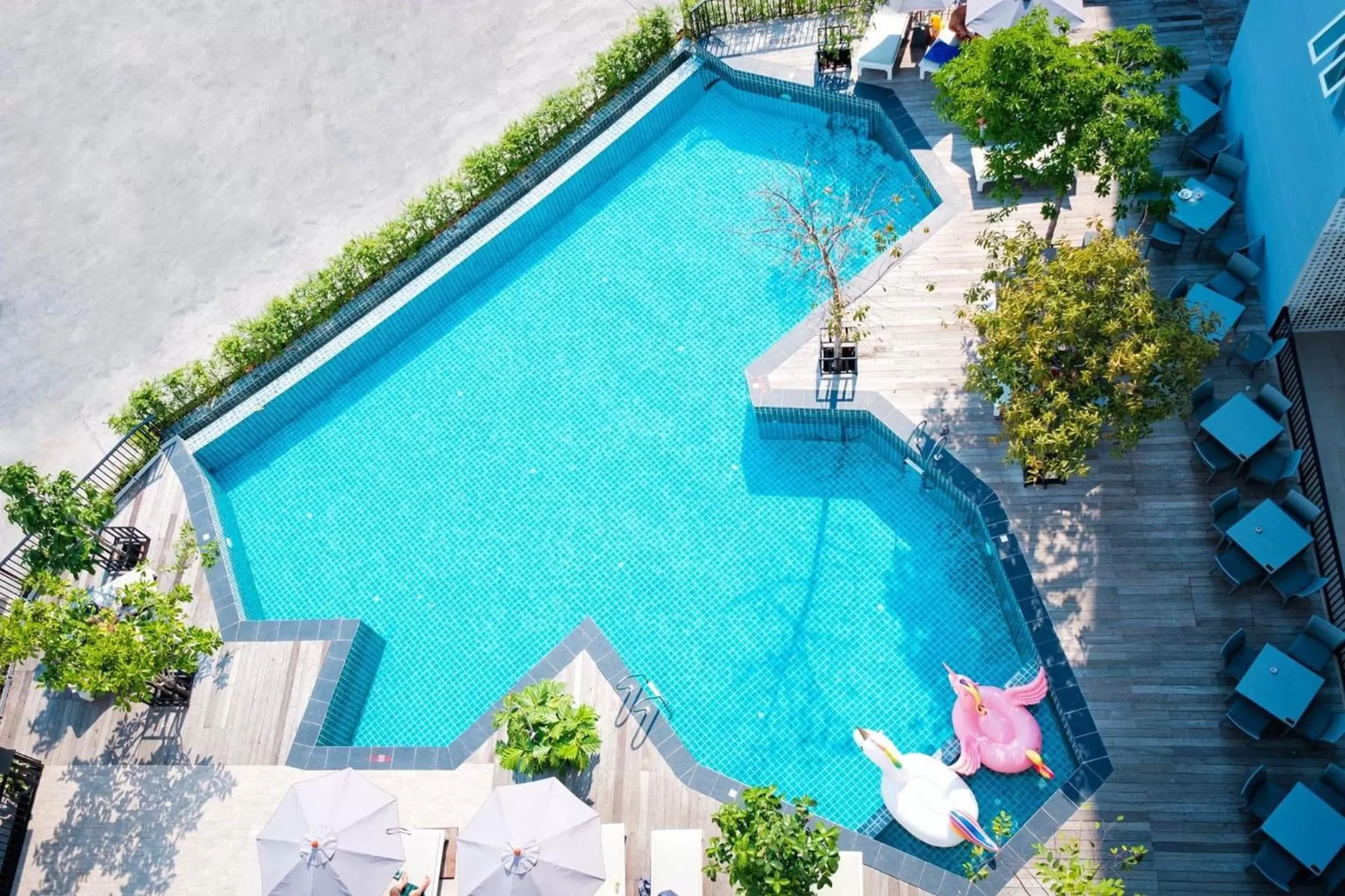 Swimming pool in P Plus Hotel