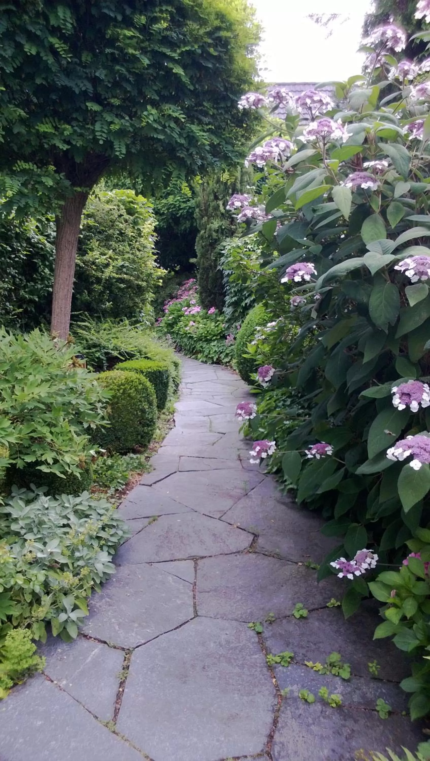 Patio, Garden in Hotel Krone Überlingen am Ried