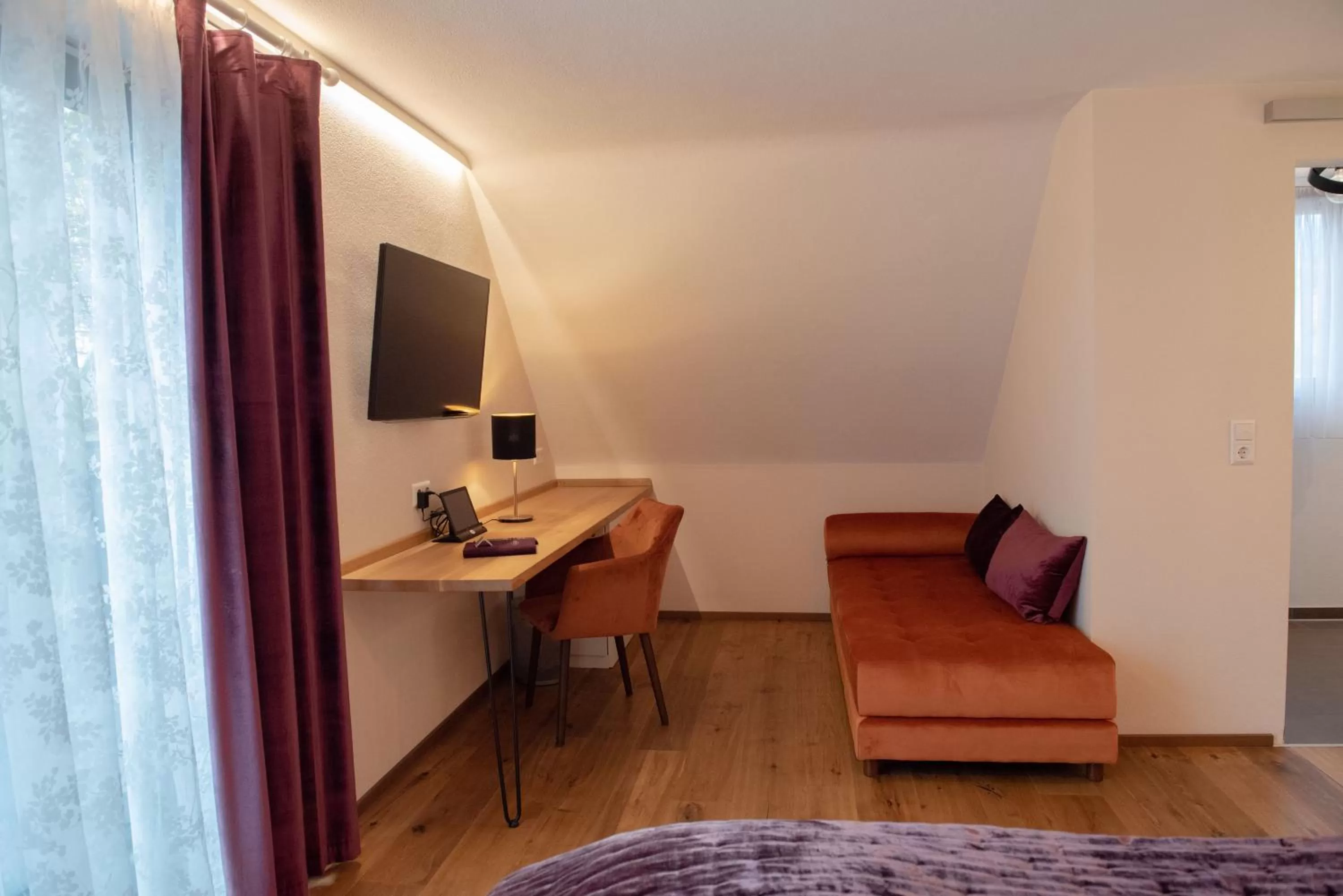 TV and multimedia in Boutique - Hotel Zum Schloss