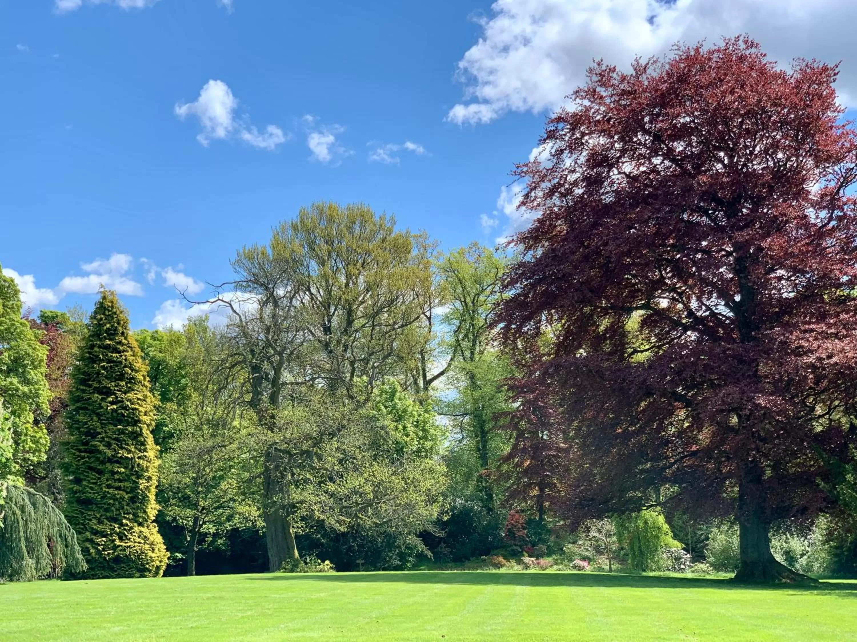 Garden in West Plean House